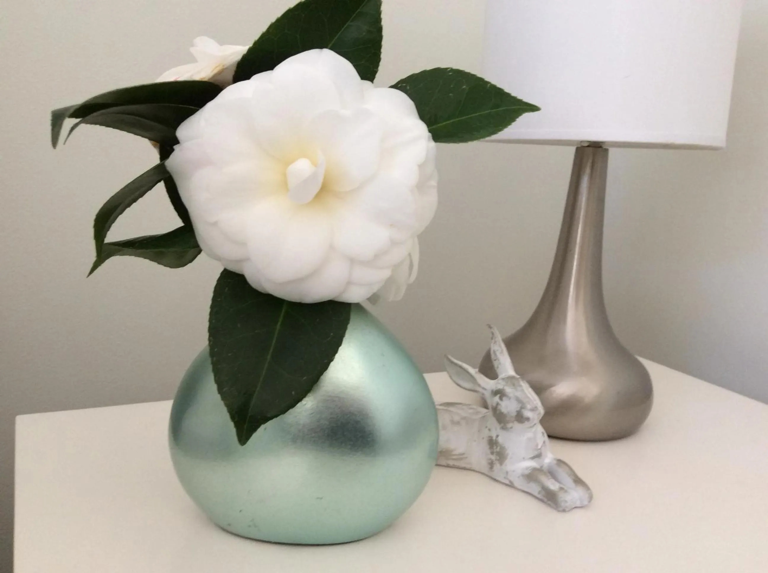 Decorative detail in Beachport Bed & Breakfast