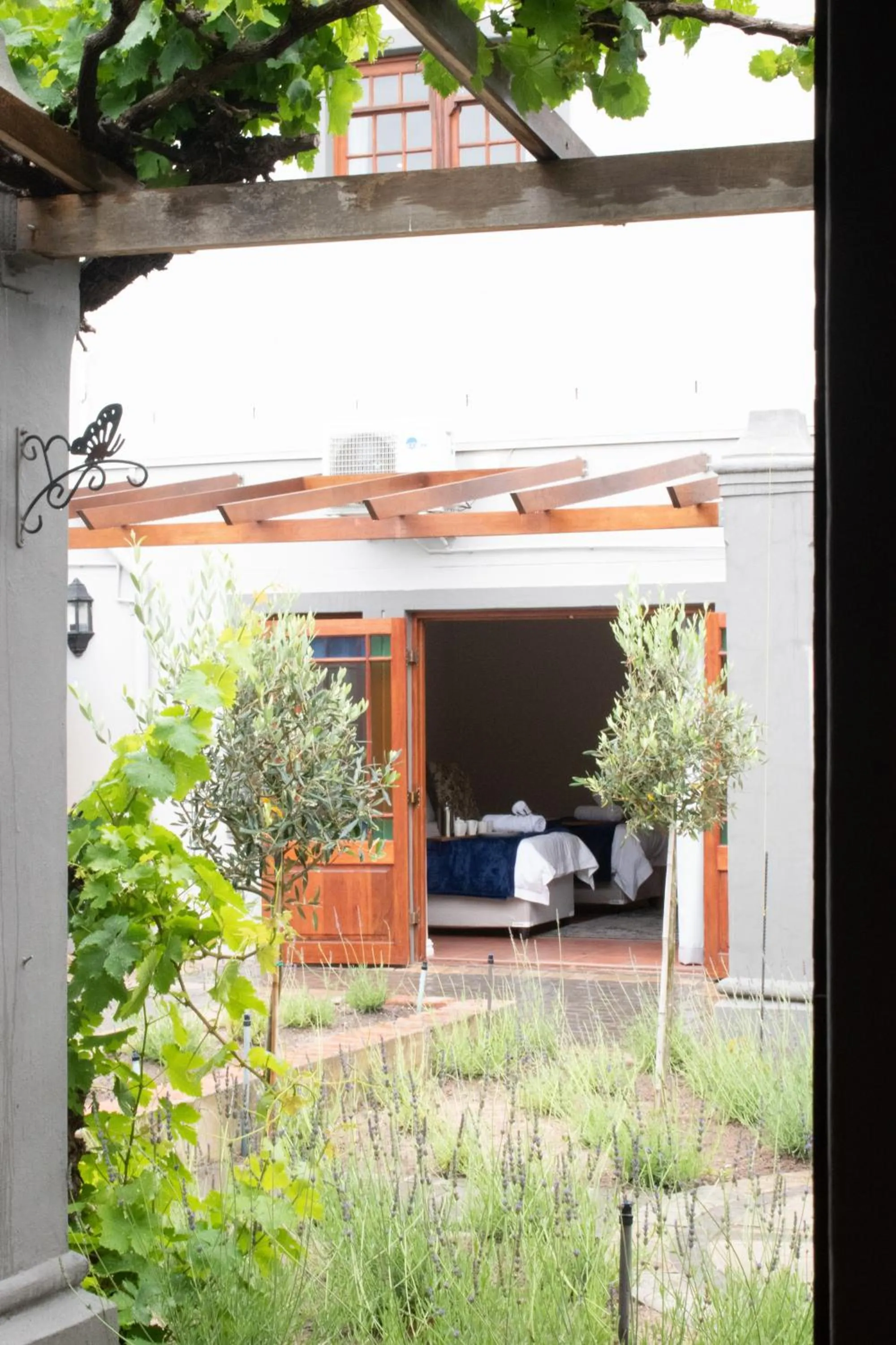 Olive Tree Lodge