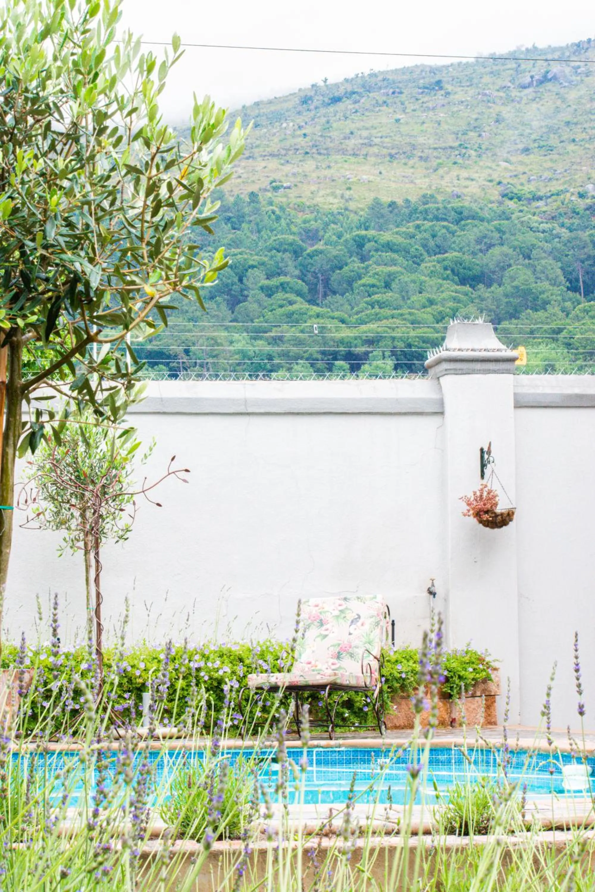 Olive Tree Lodge