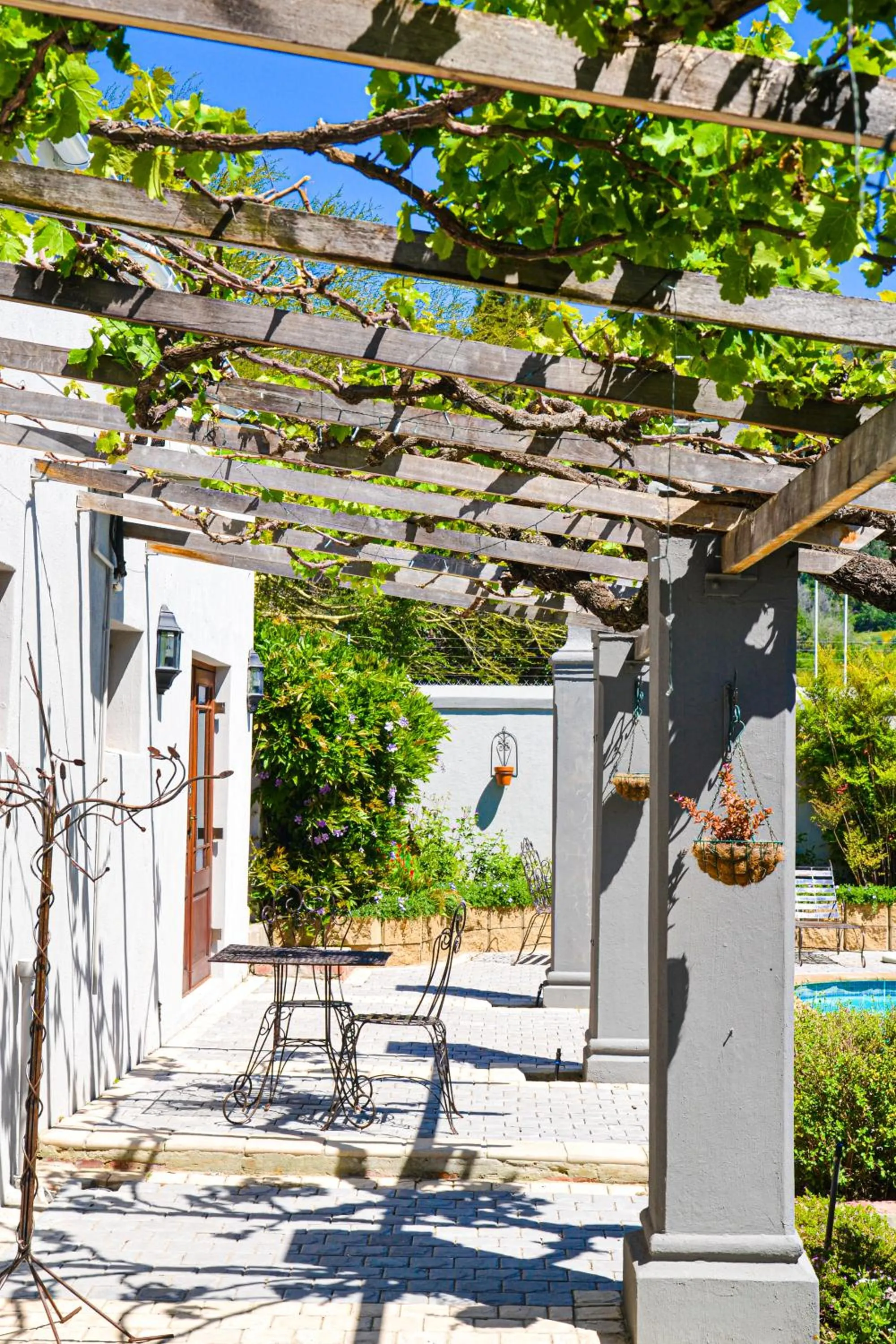 Olive Tree Lodge