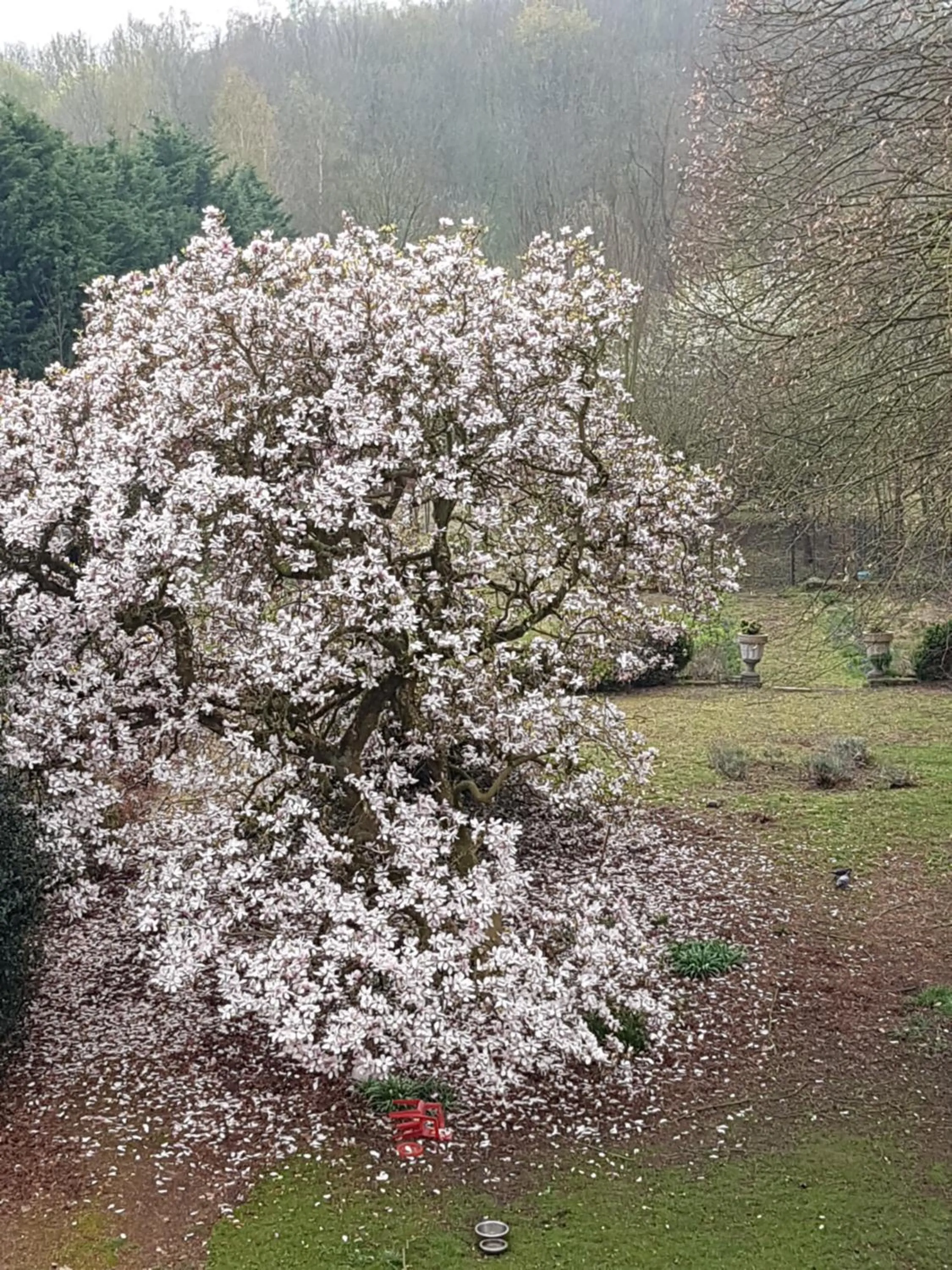 Garden view in Château Lambert Moulinsart Hotel, shuttle airport, long term parking, snooker, large terrasse, dinner, breakfast