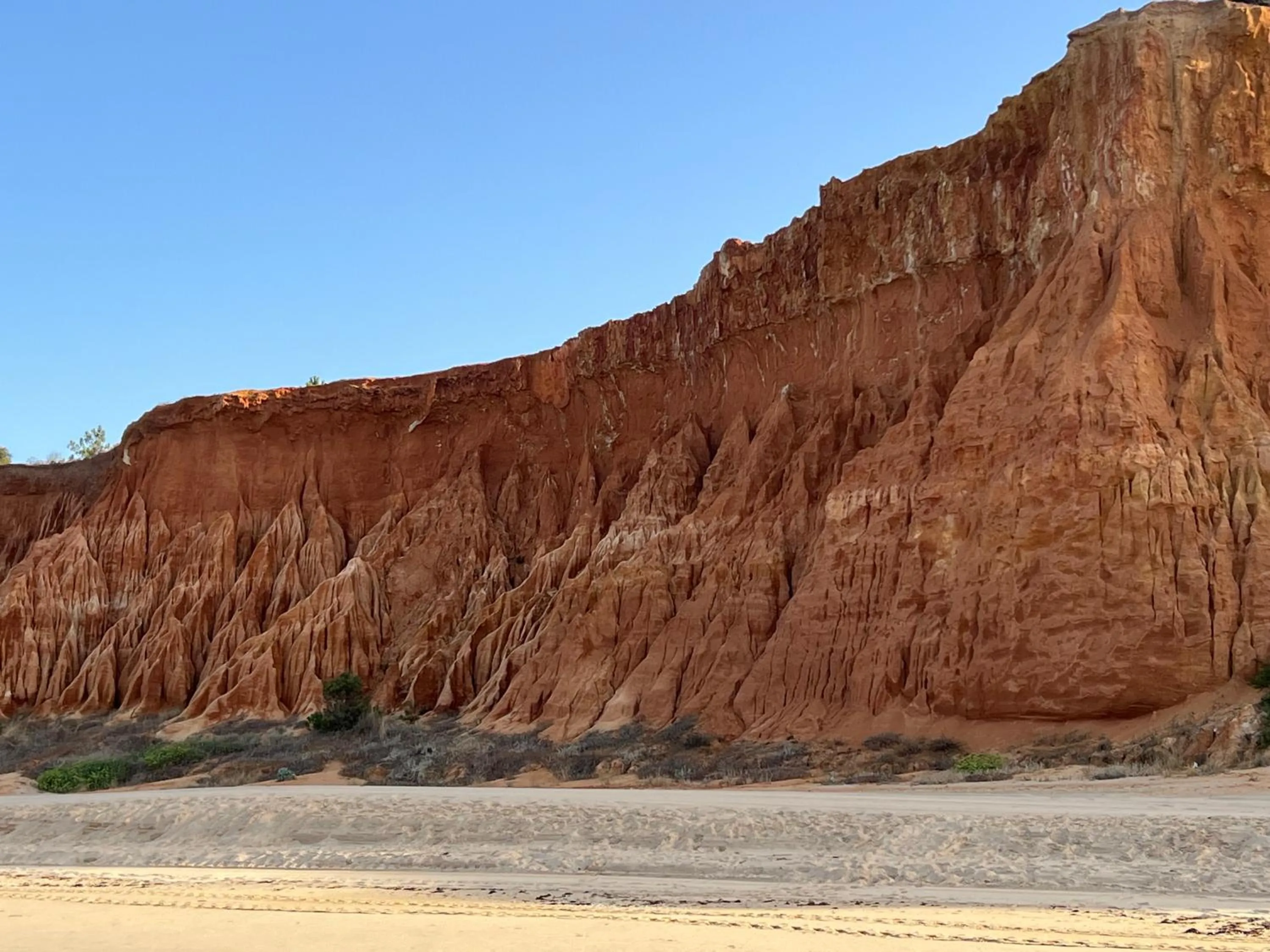 Apartamentos Do Parque