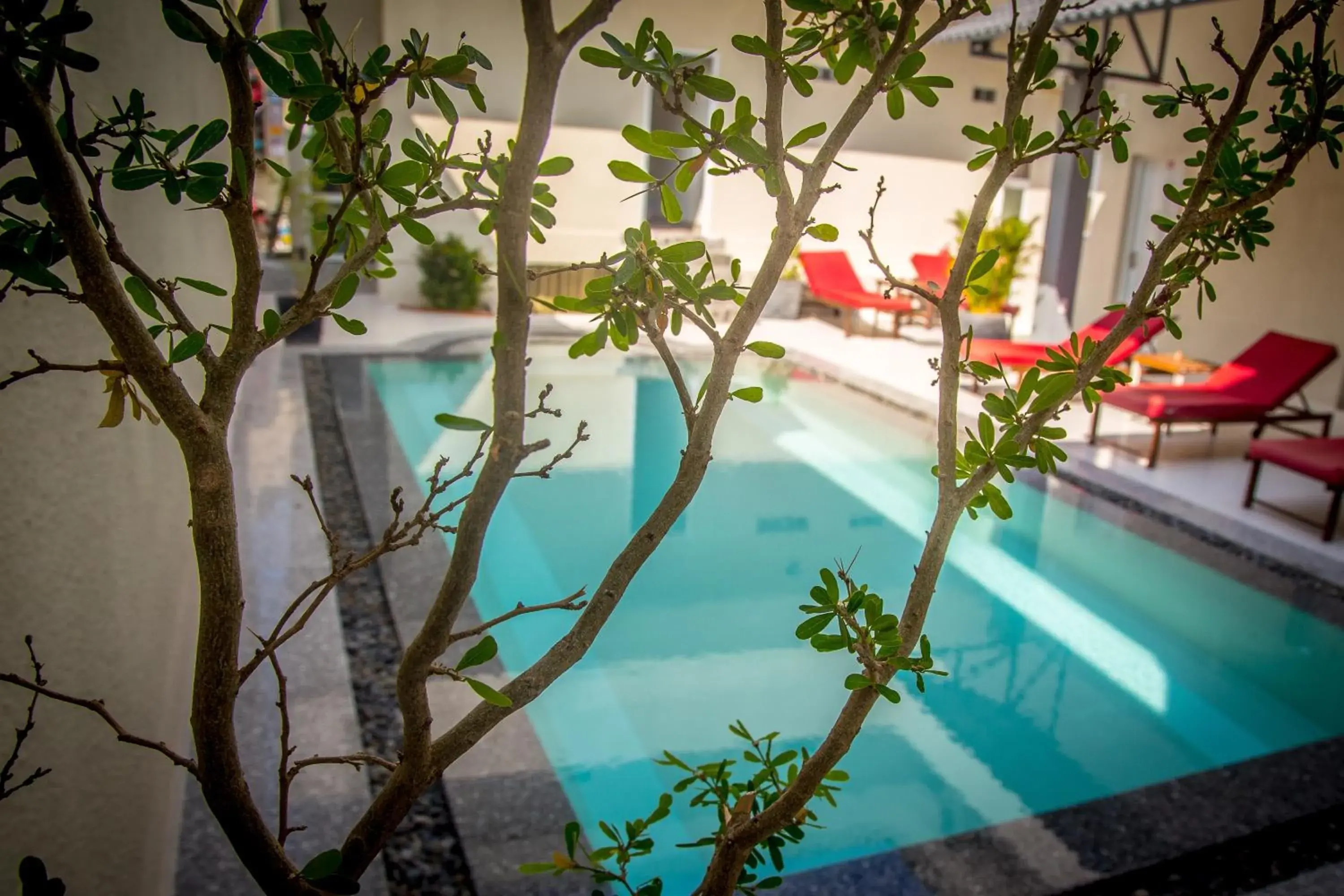 Pool view in Mui Ne Hills Budget Hotel Pool view in Mui Ne Hills Budget Hotel