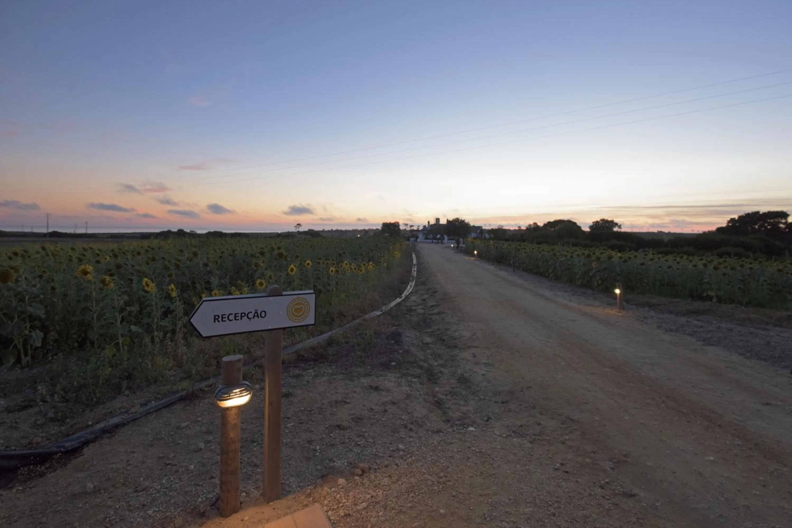 Off site in Herdade Do Touril