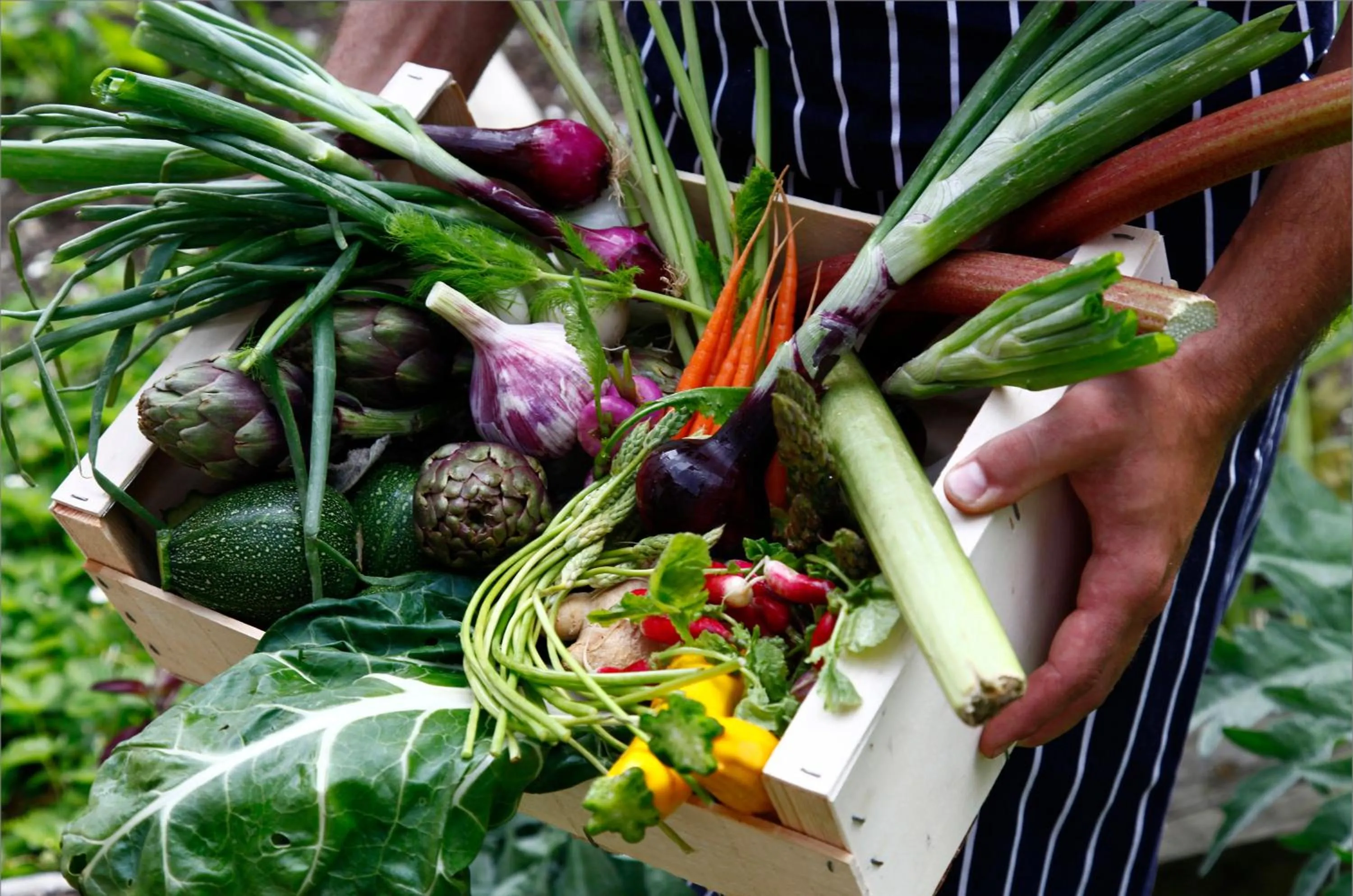Food in Hôtel La Ferme du Chozal, Chalet de tradition