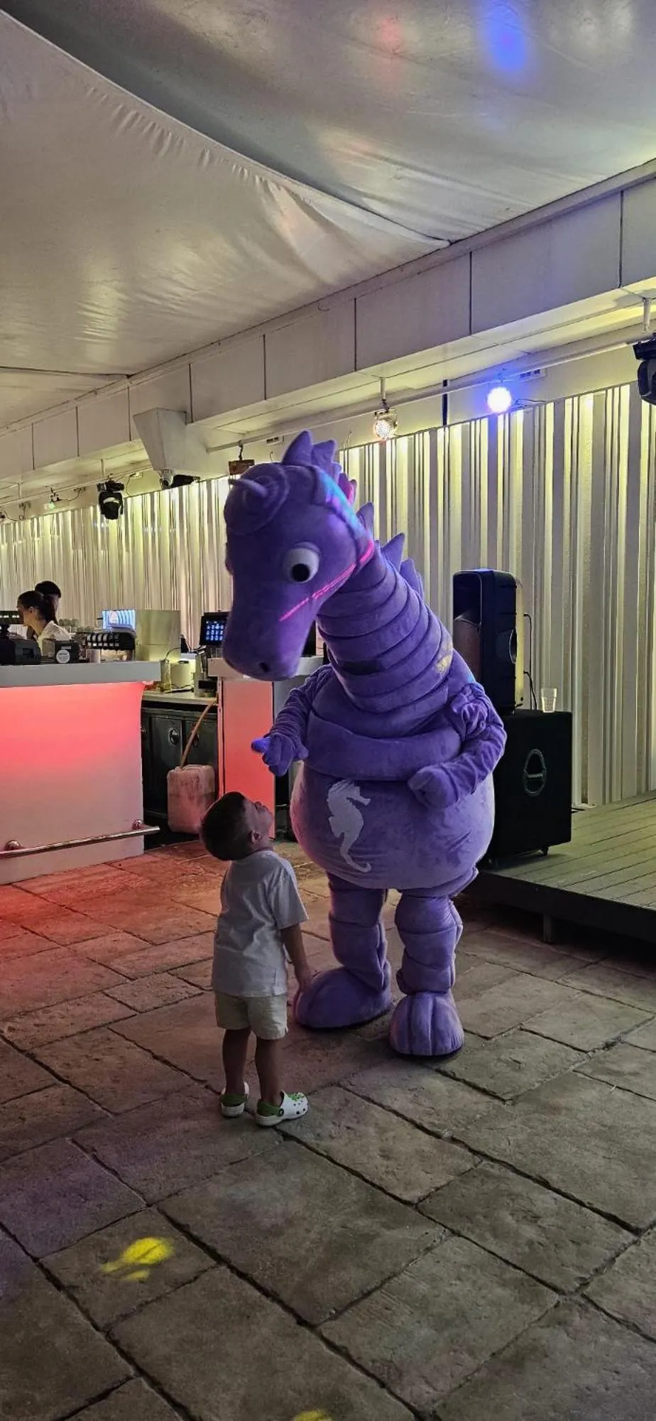 Evening entertainment in Hotel Melodia