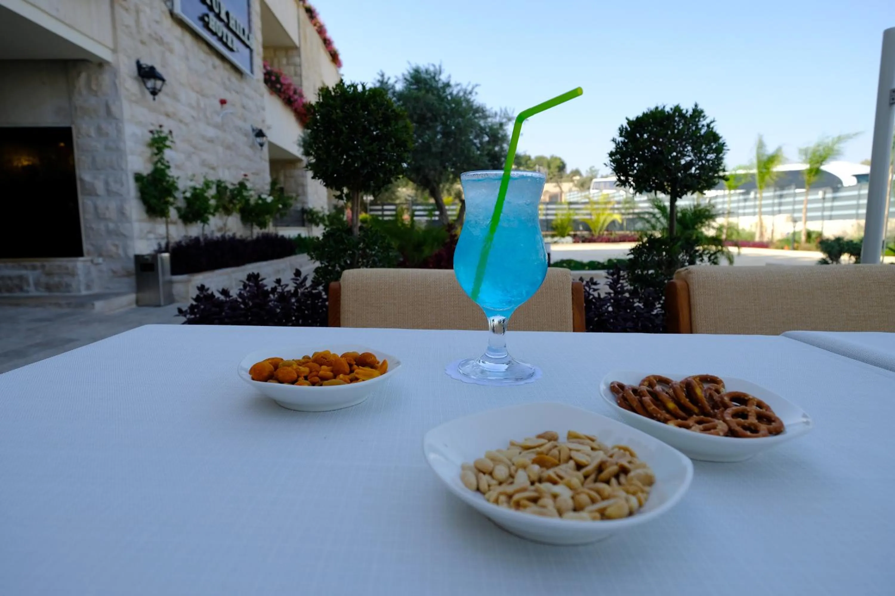 Garden in Tantur Hills Hotel - Jerusalem