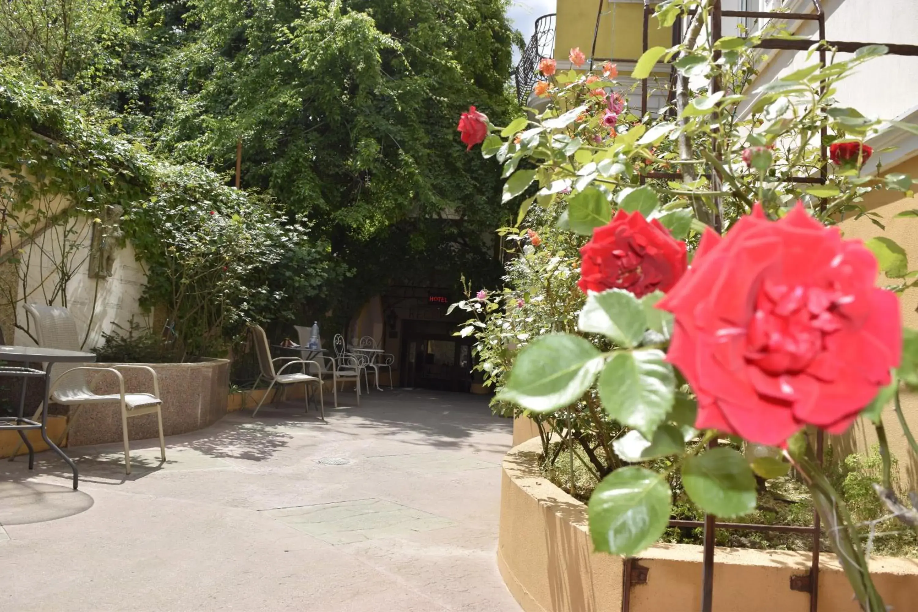 Garden view in Hotel Michelangelo Garden view in Hotel Michelangelo