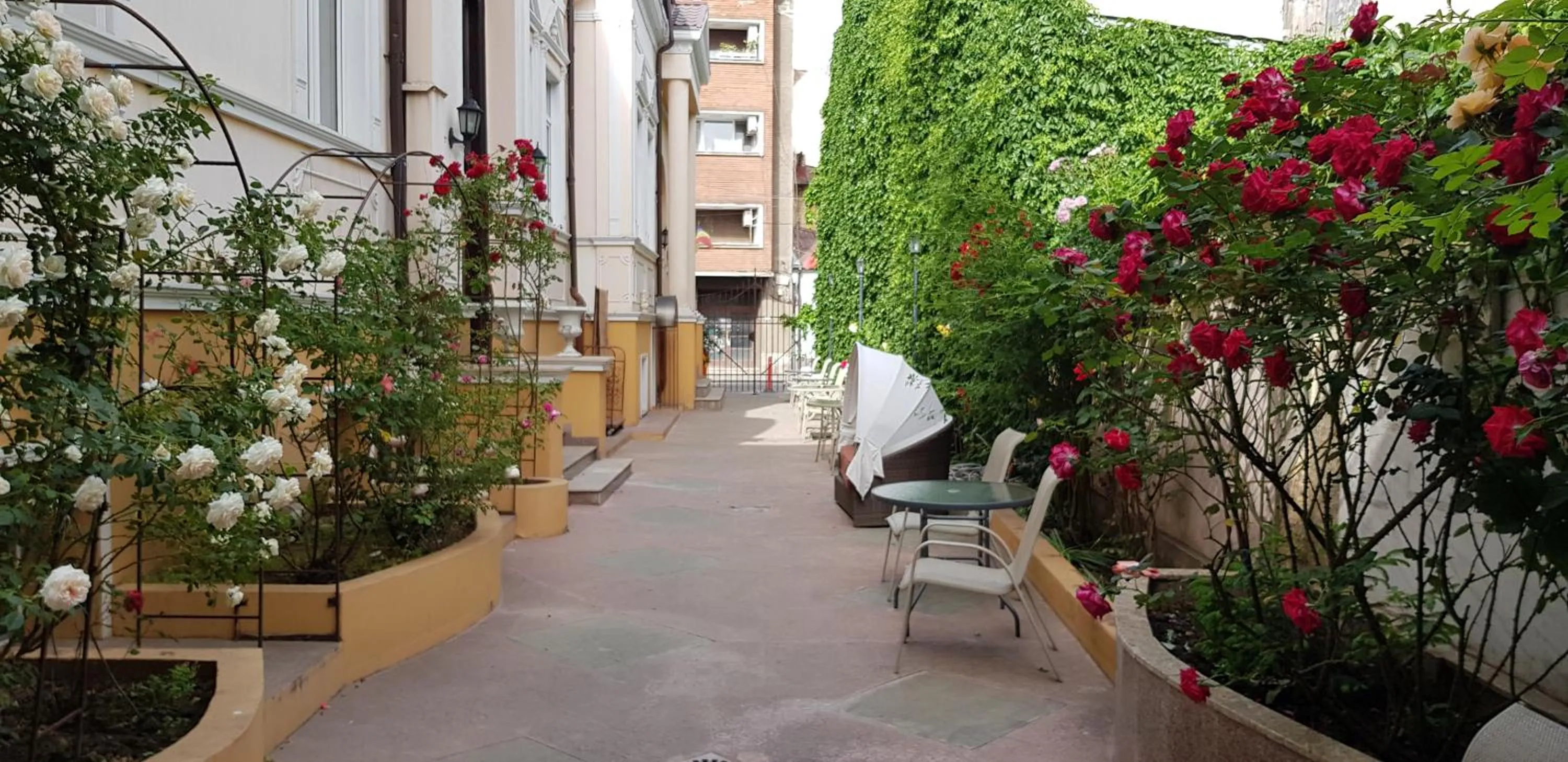 Garden in Hotel Michelangelo