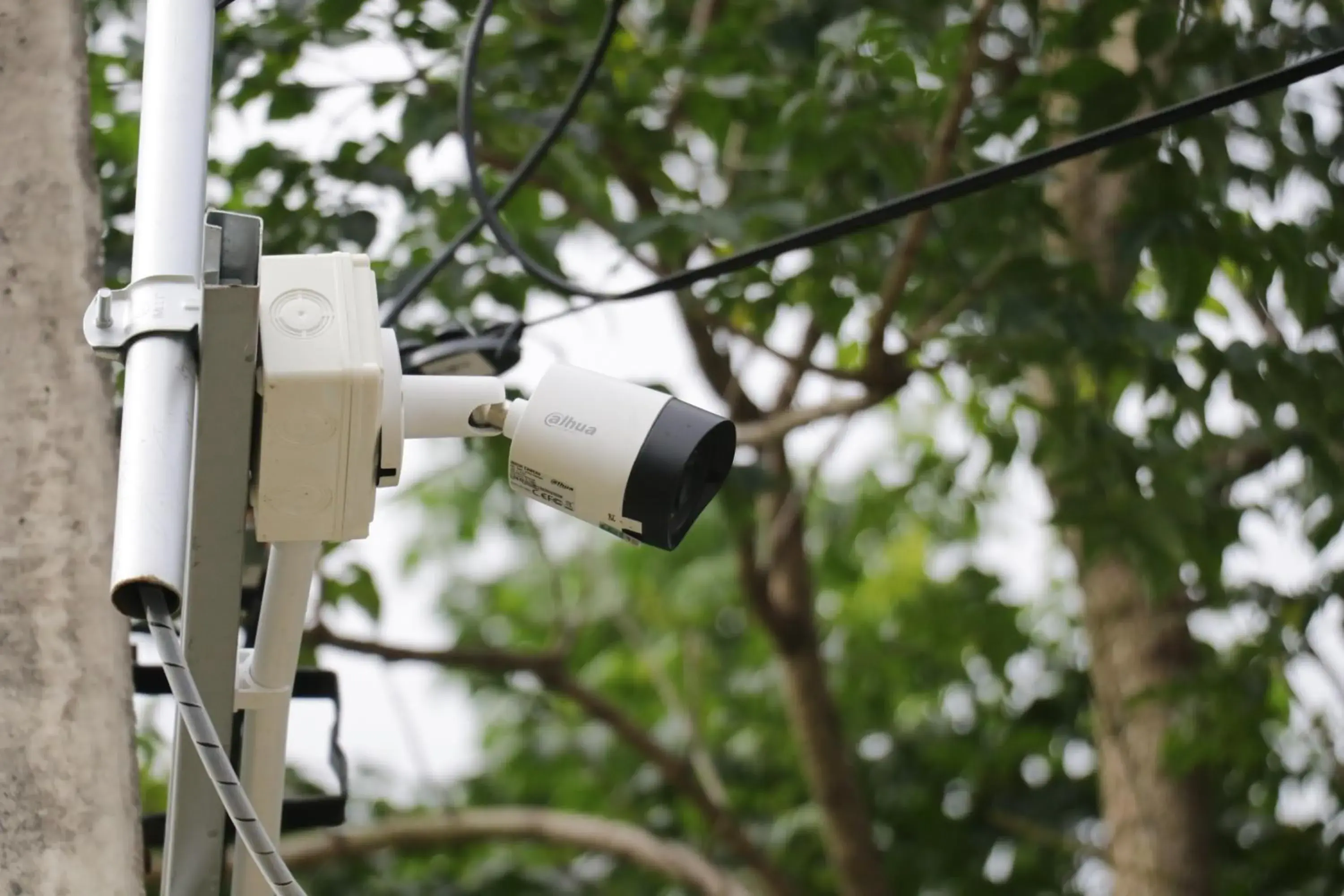 Property building in The Money Inn Property building in The Money Inn