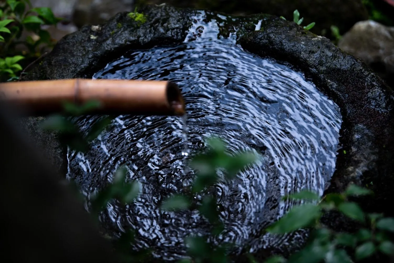 Natural landscape in Taisho Yufu no Hana