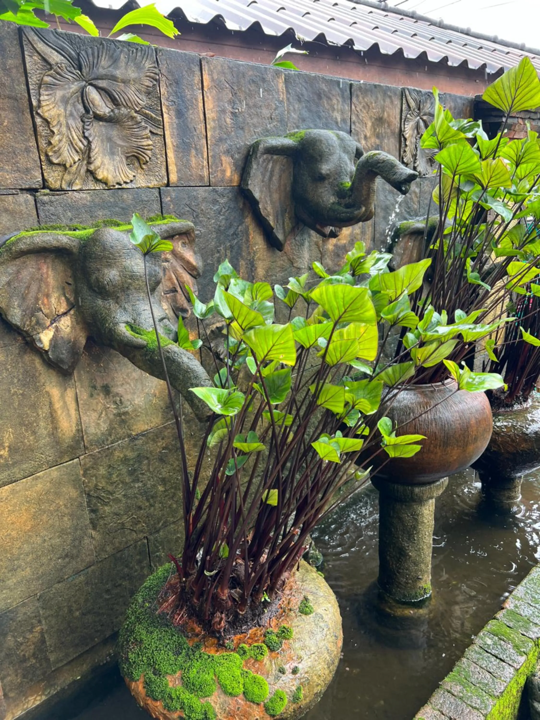 Nearby landmark in Baan Ton Rak Boutique Resort