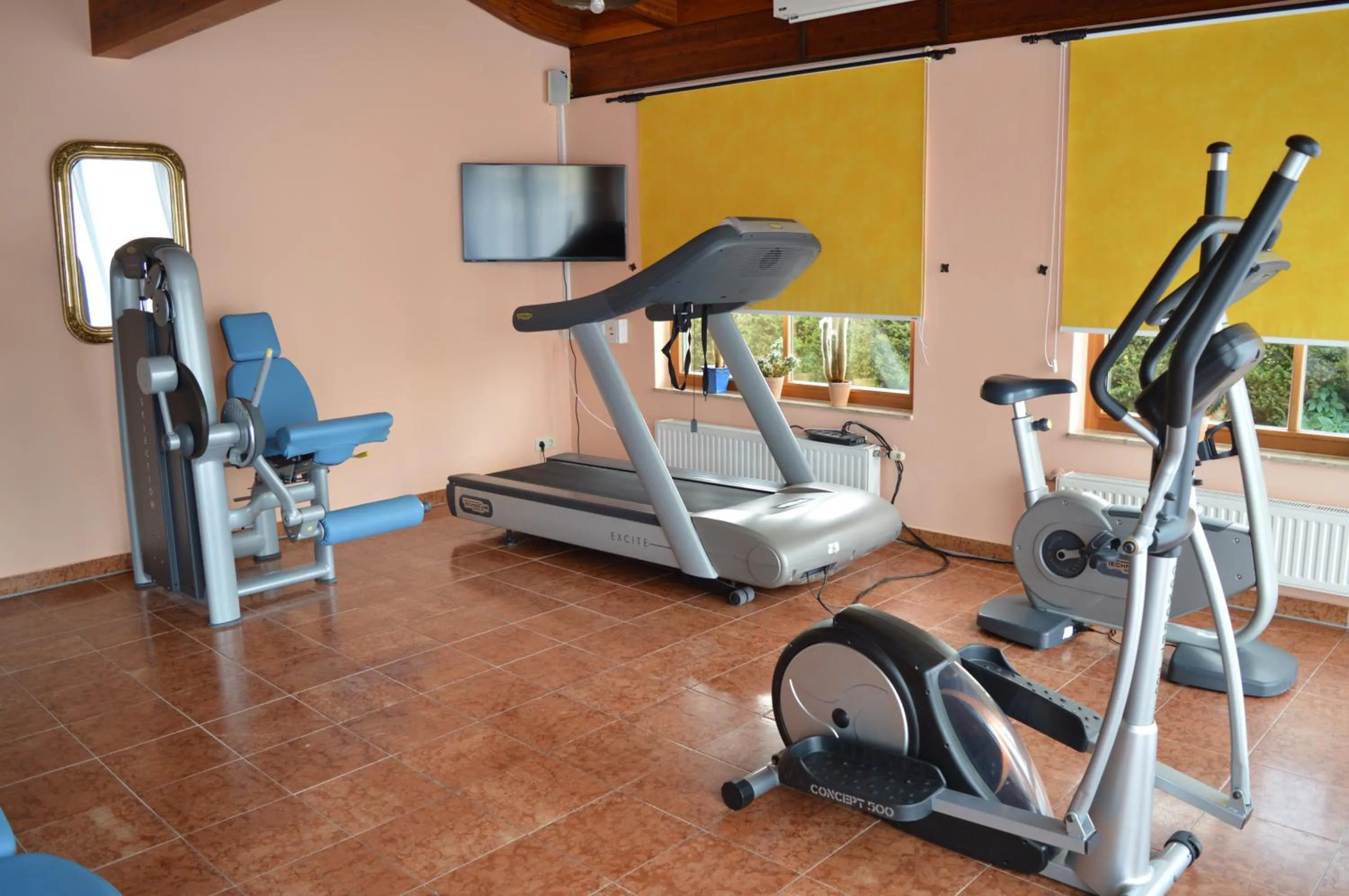 Fitness centre/facilities in Vitalhotel Marienhof