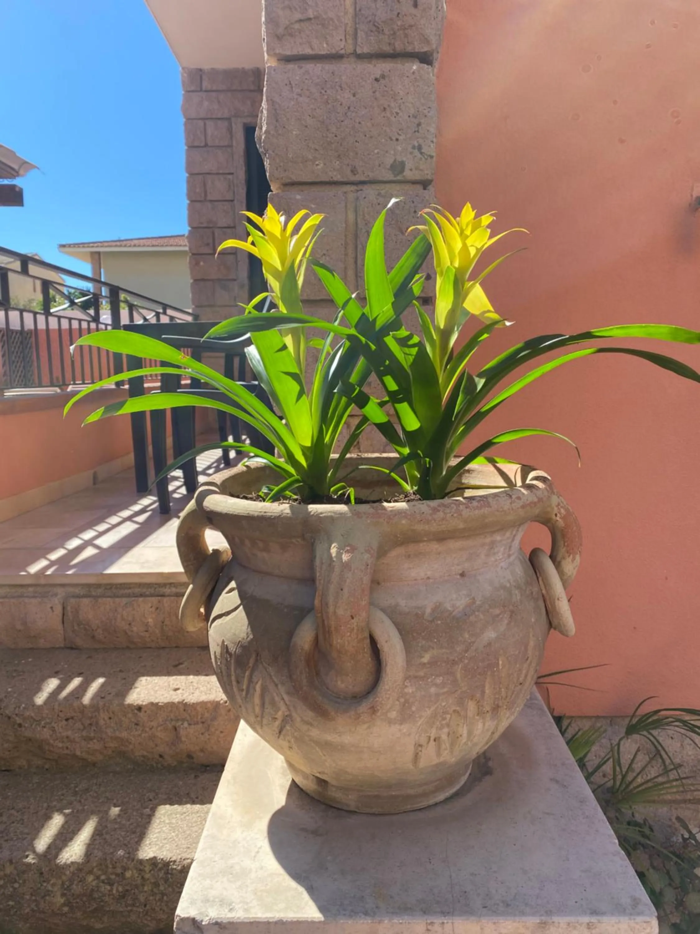 Garden in Villa Marogna