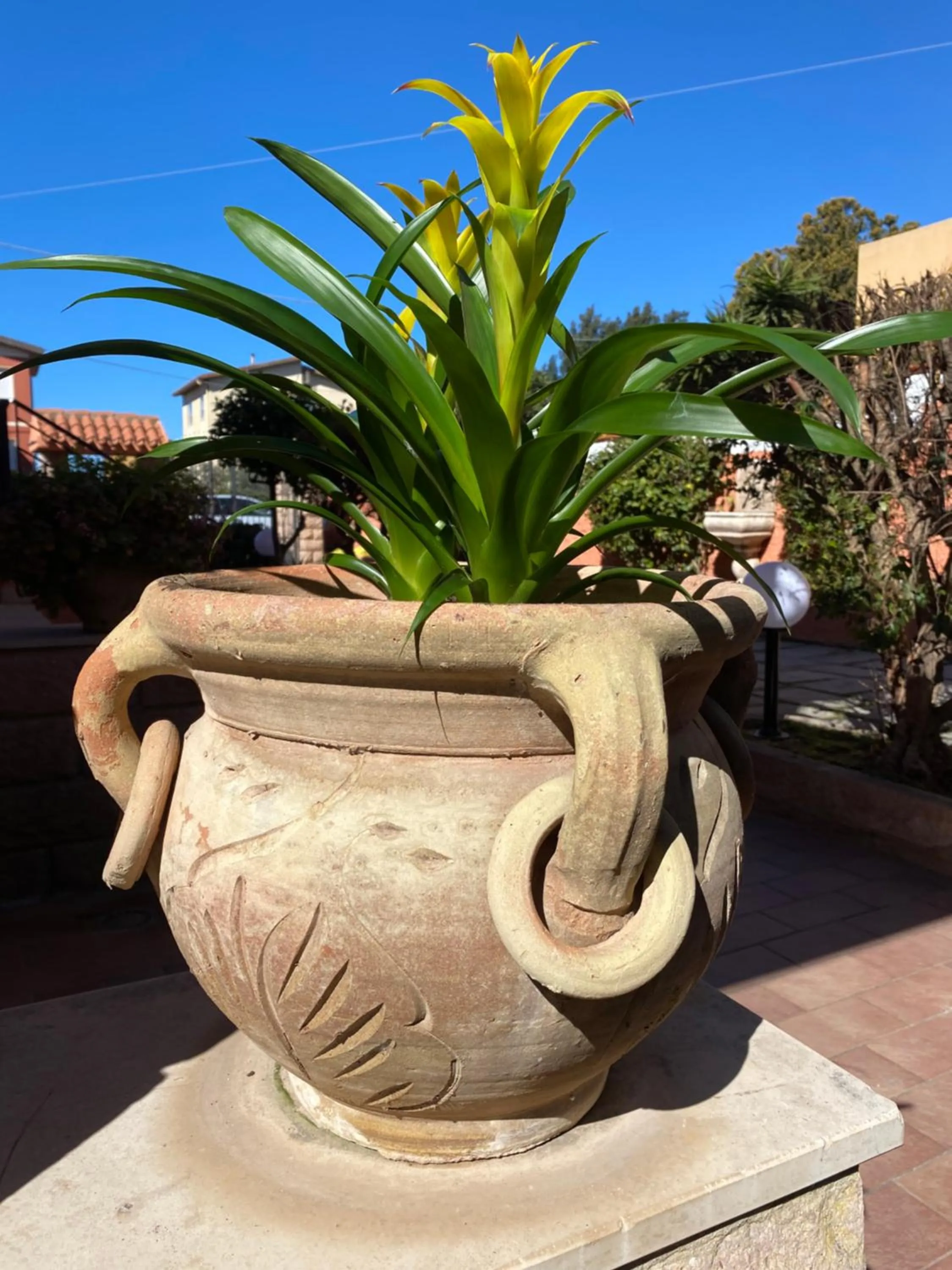 Day in Villa Marogna