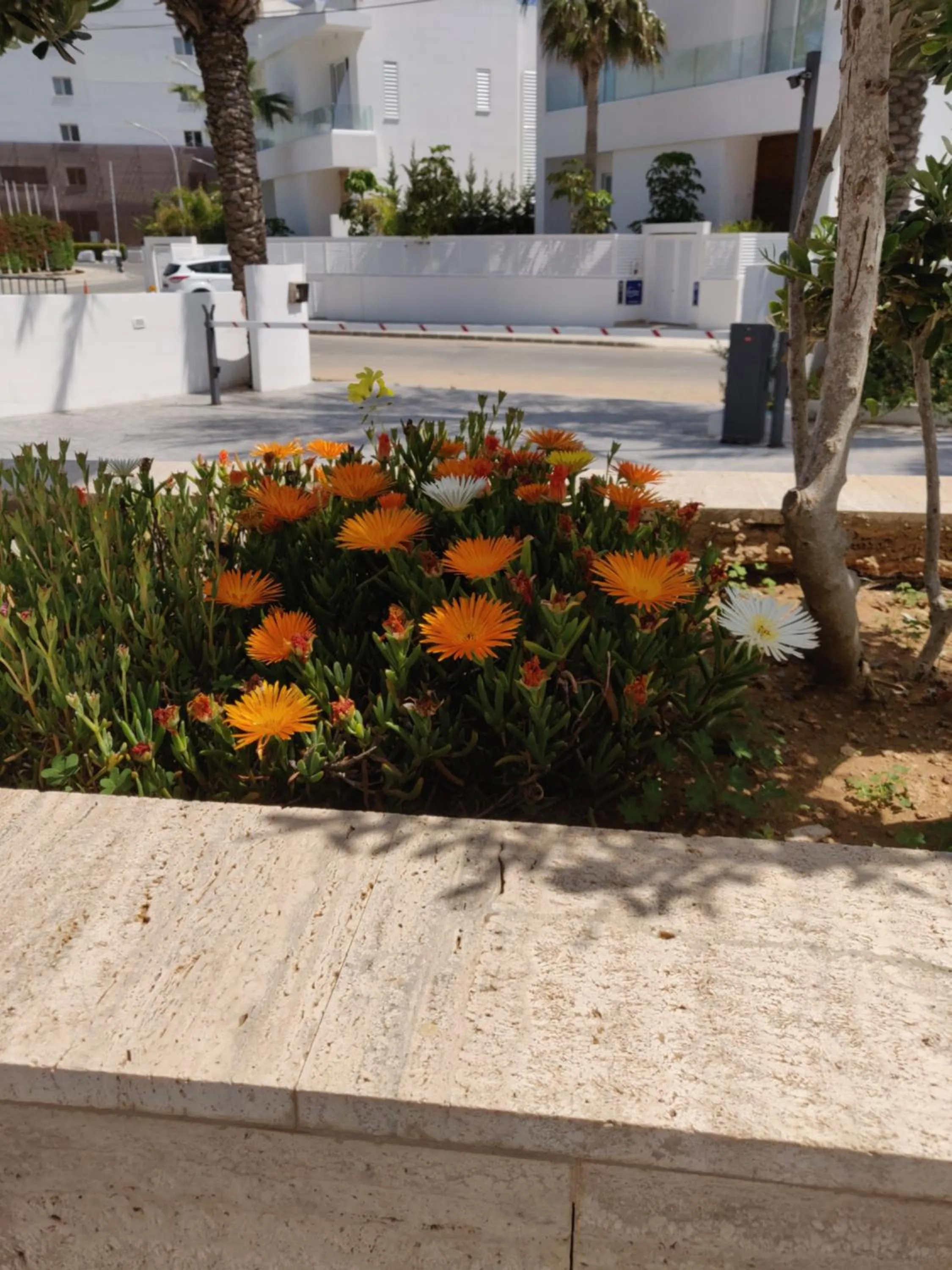 Garden in Captain Pier Hotel