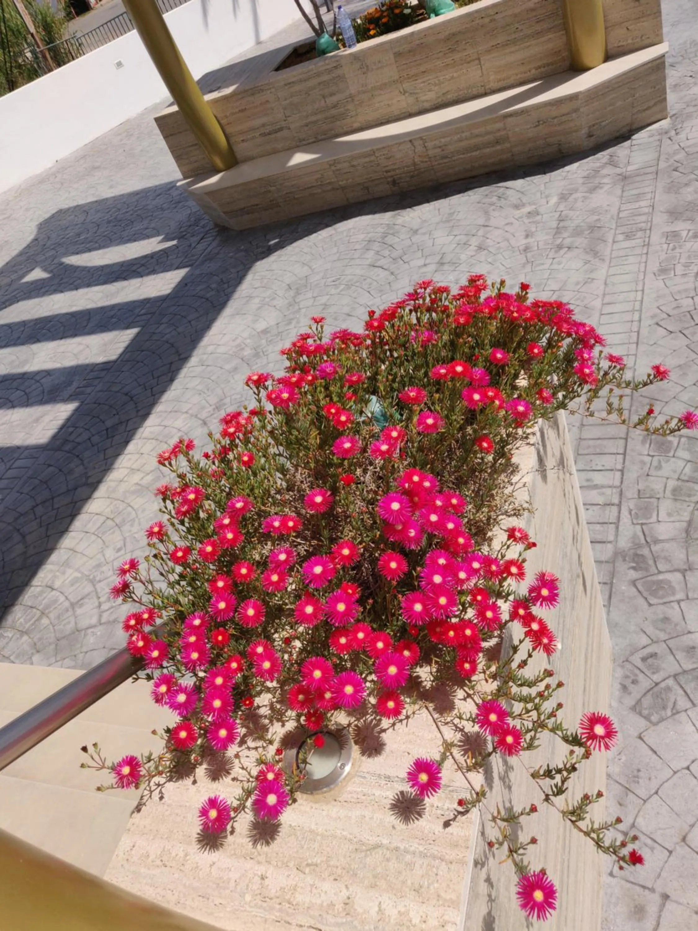 Garden in Captain Pier Hotel