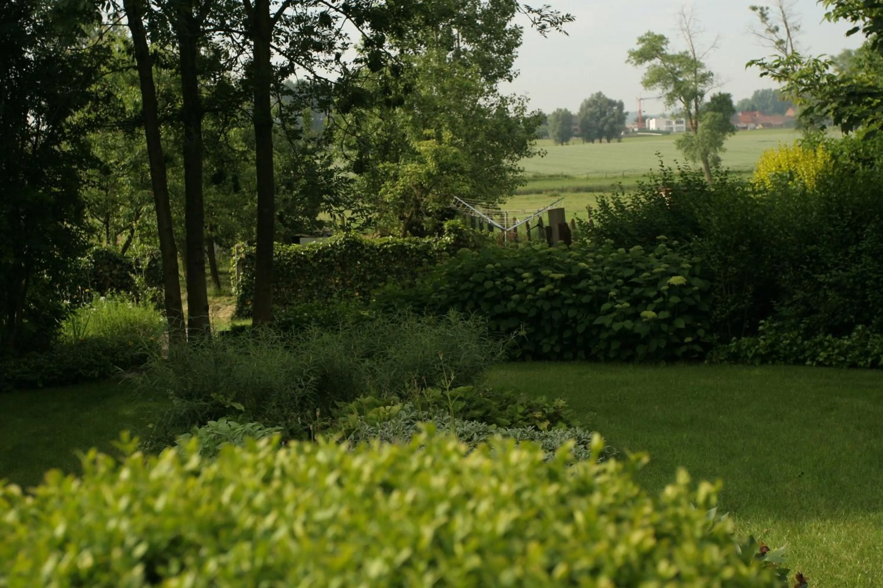 Natural landscape in B&B Goudsbloempje