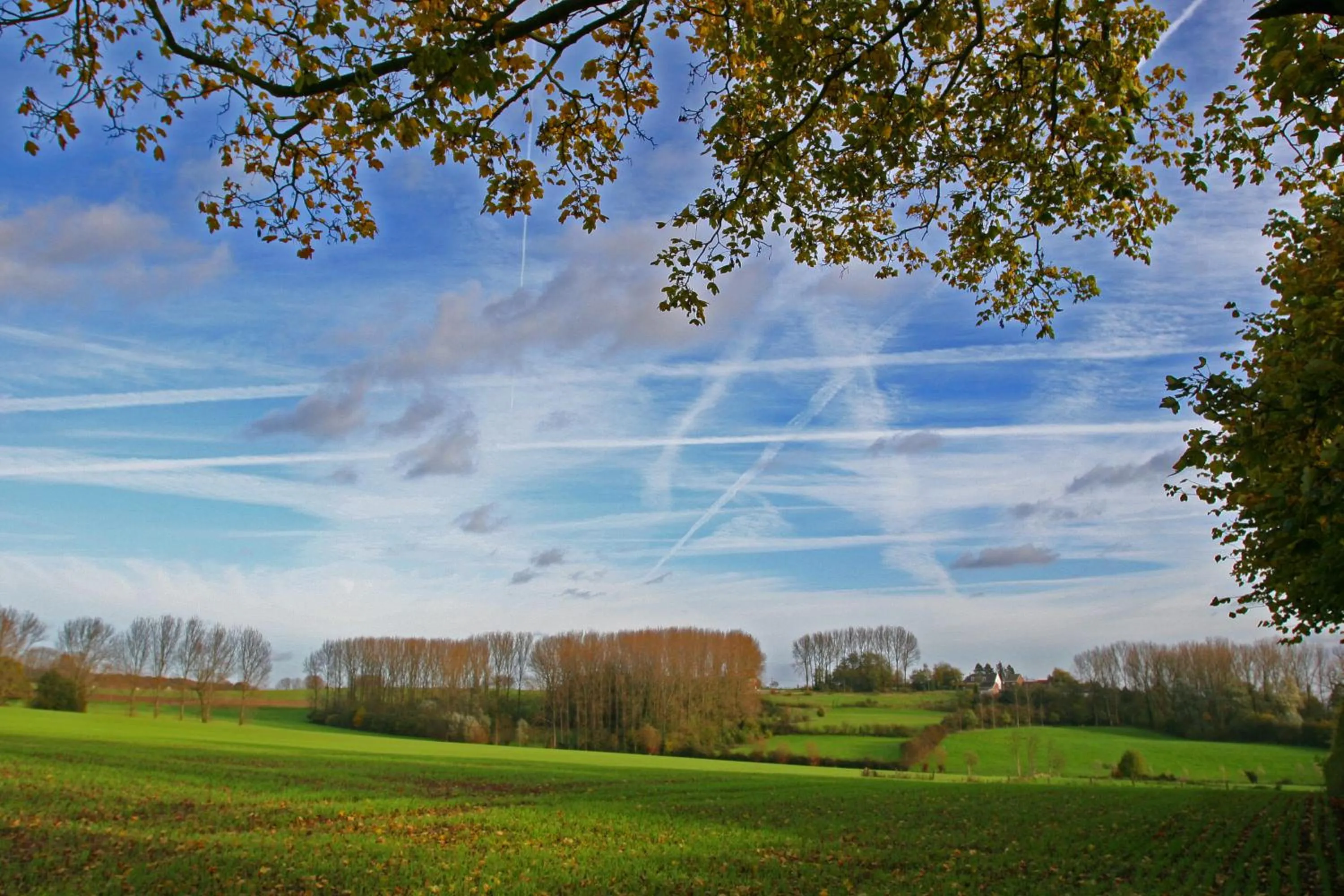 Natural landscape in B&B Goudsbloempje