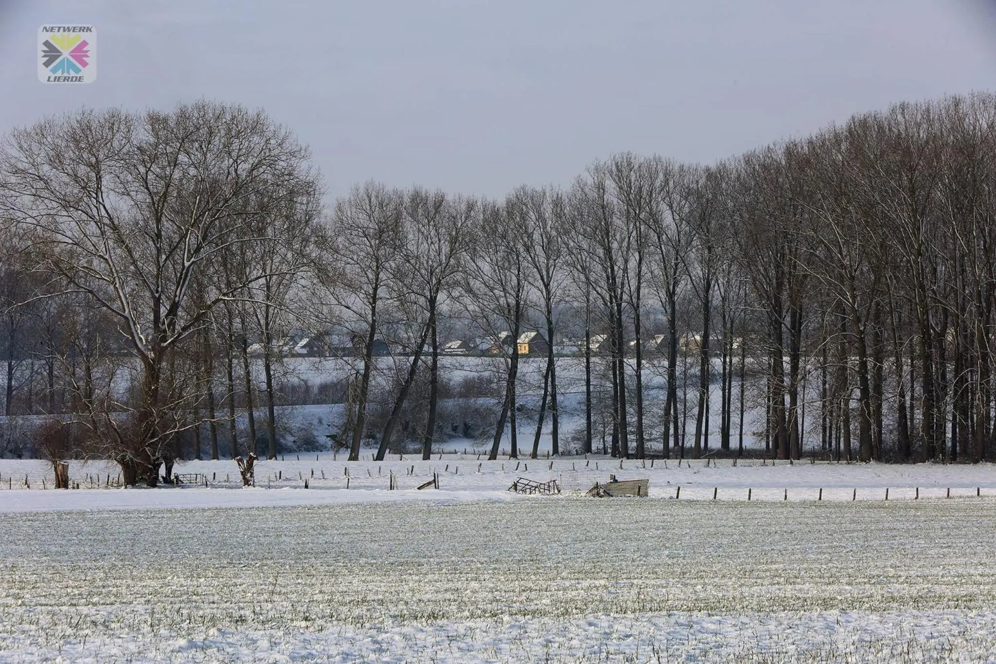 B&B Goudsbloempje