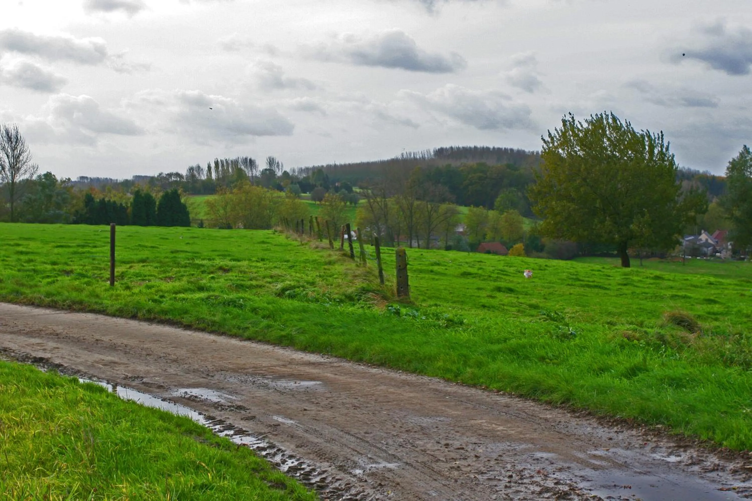 Natural landscape in B&B Goudsbloempje
