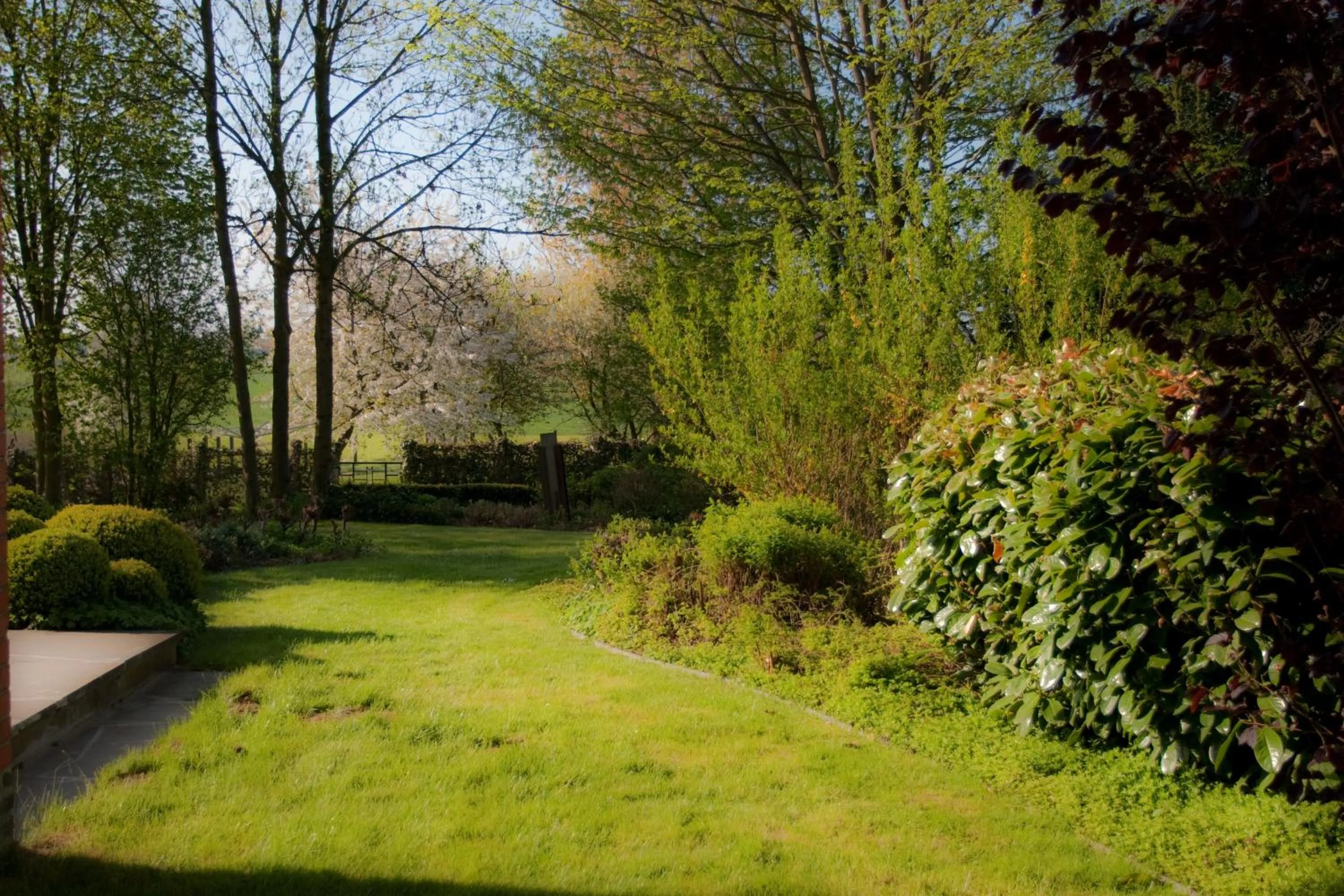 Natural landscape in B&B Goudsbloempje