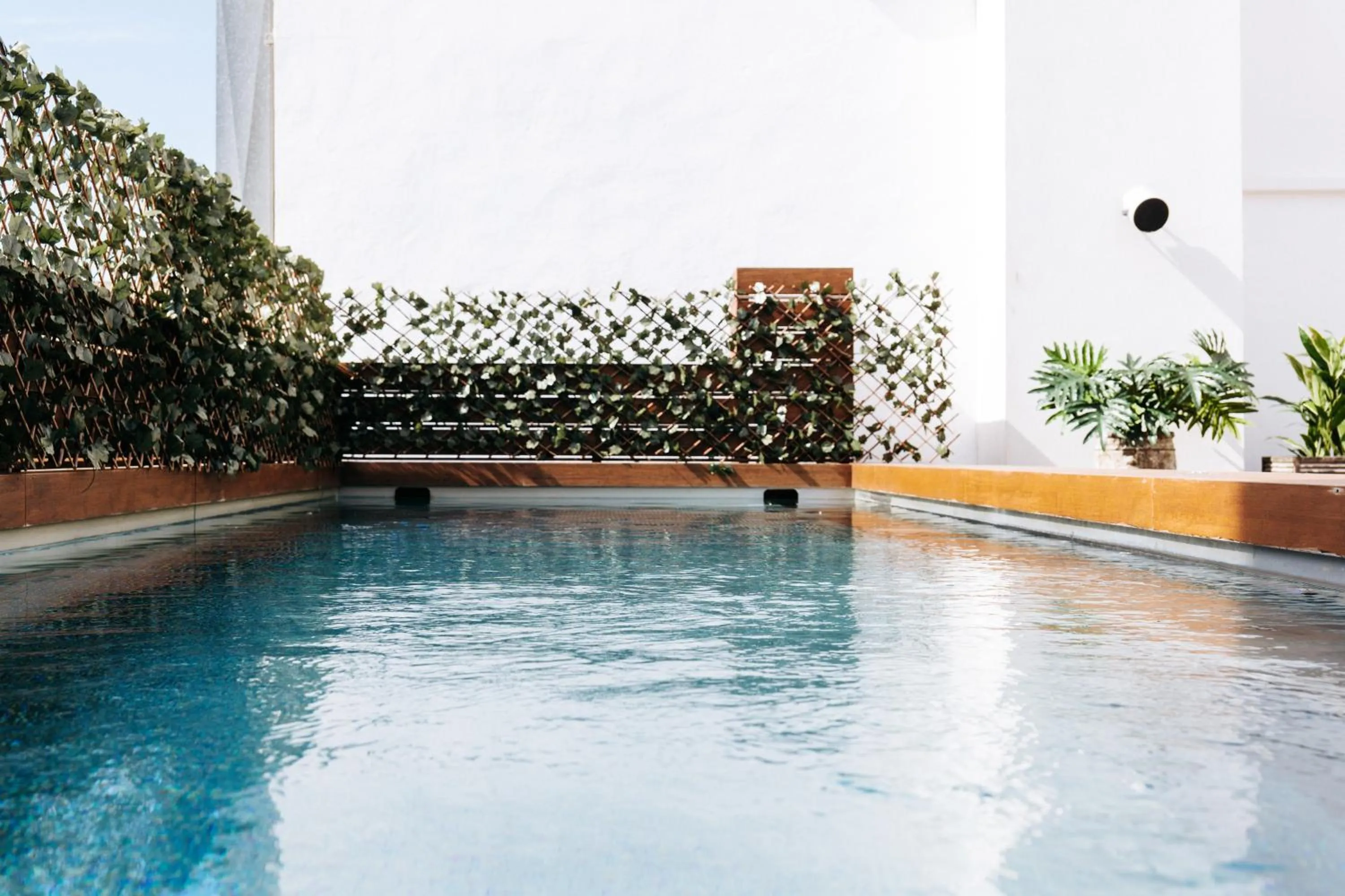 Swimming pool in Terreno Suites