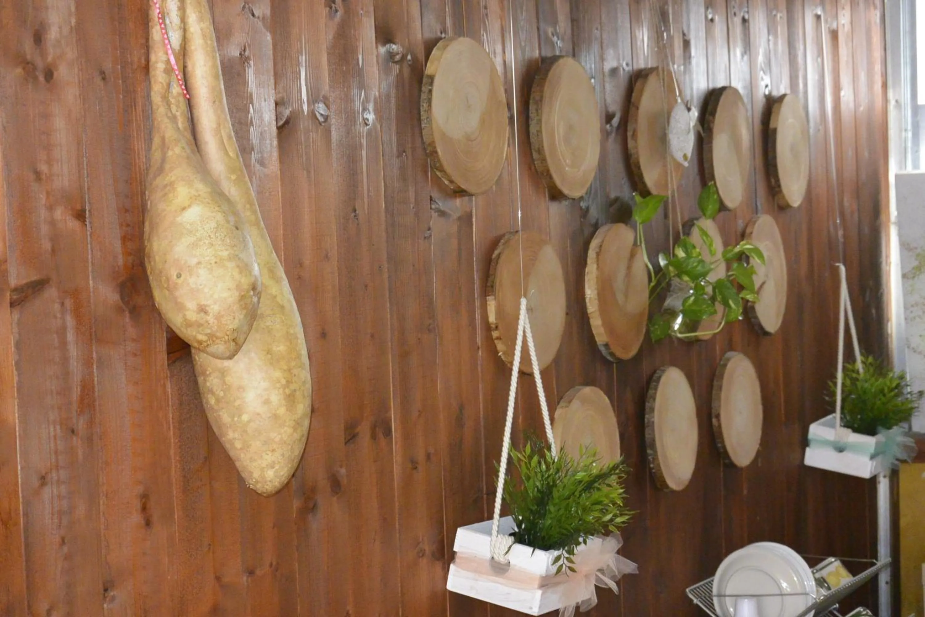 Food and drinks in Villa Bema