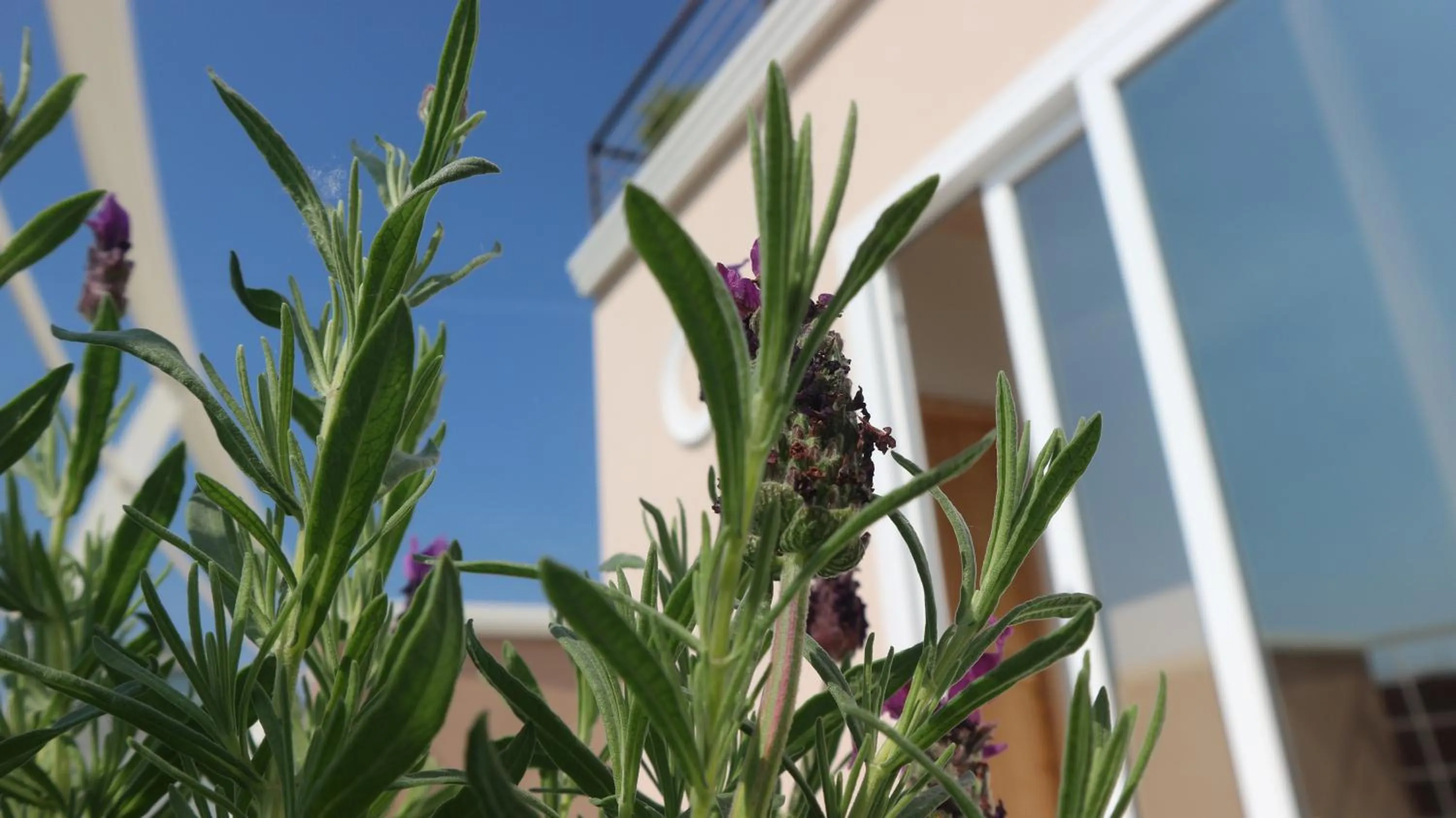 Property building in Villa Bema