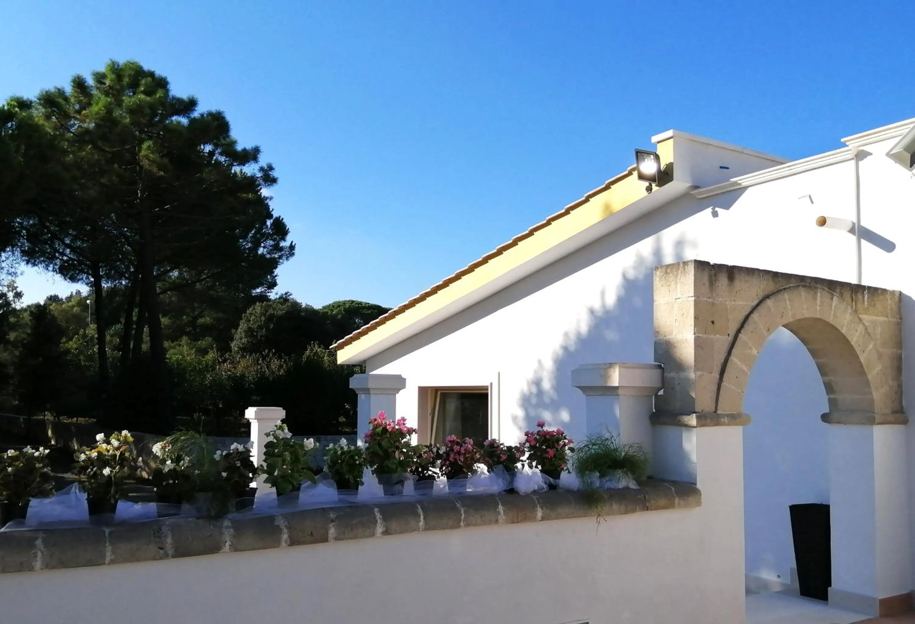 Garden view in B&B Trulli e Mare