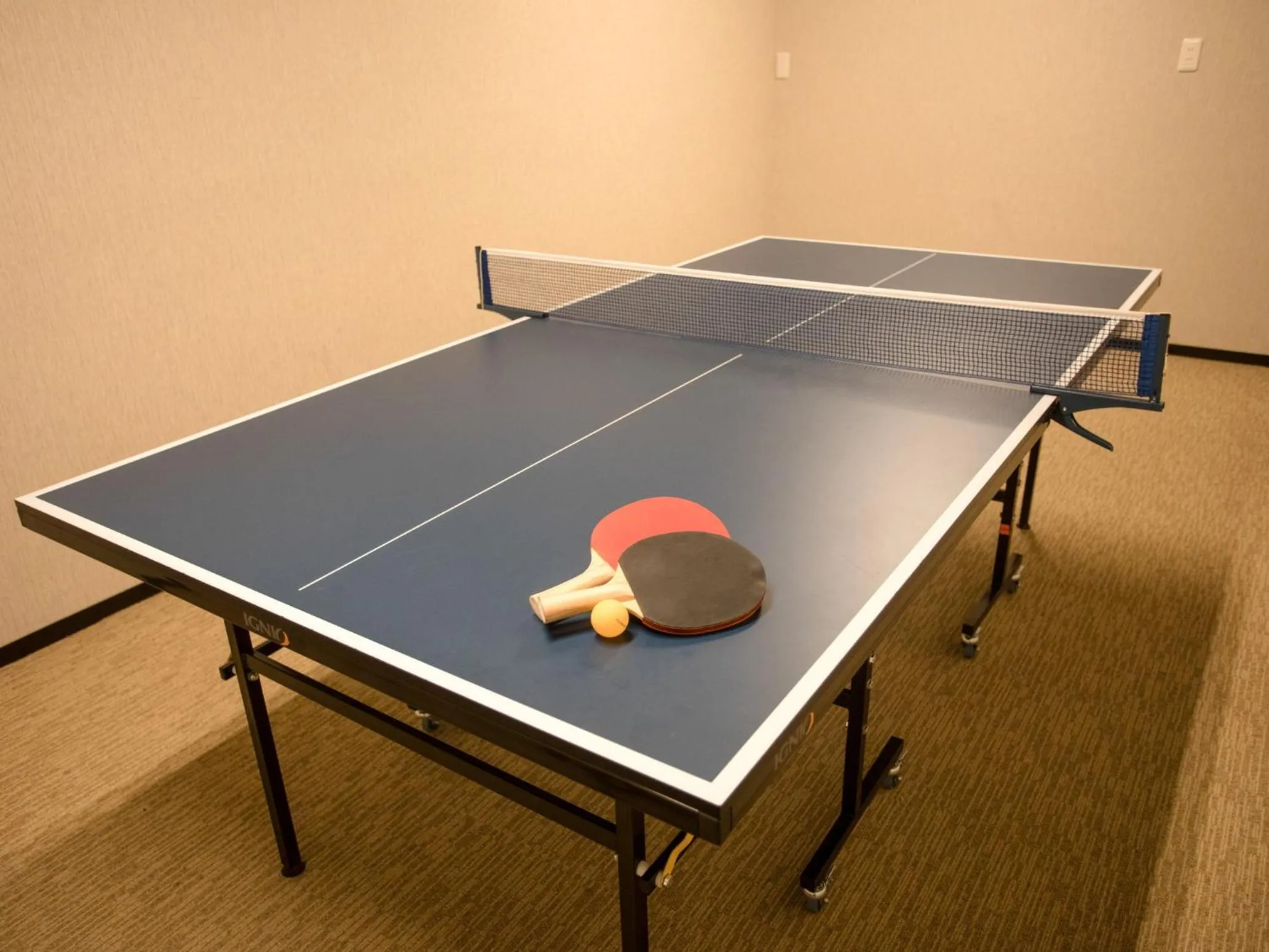 Table tennis in LiVEMAX RESORT Hakone Ashinoko