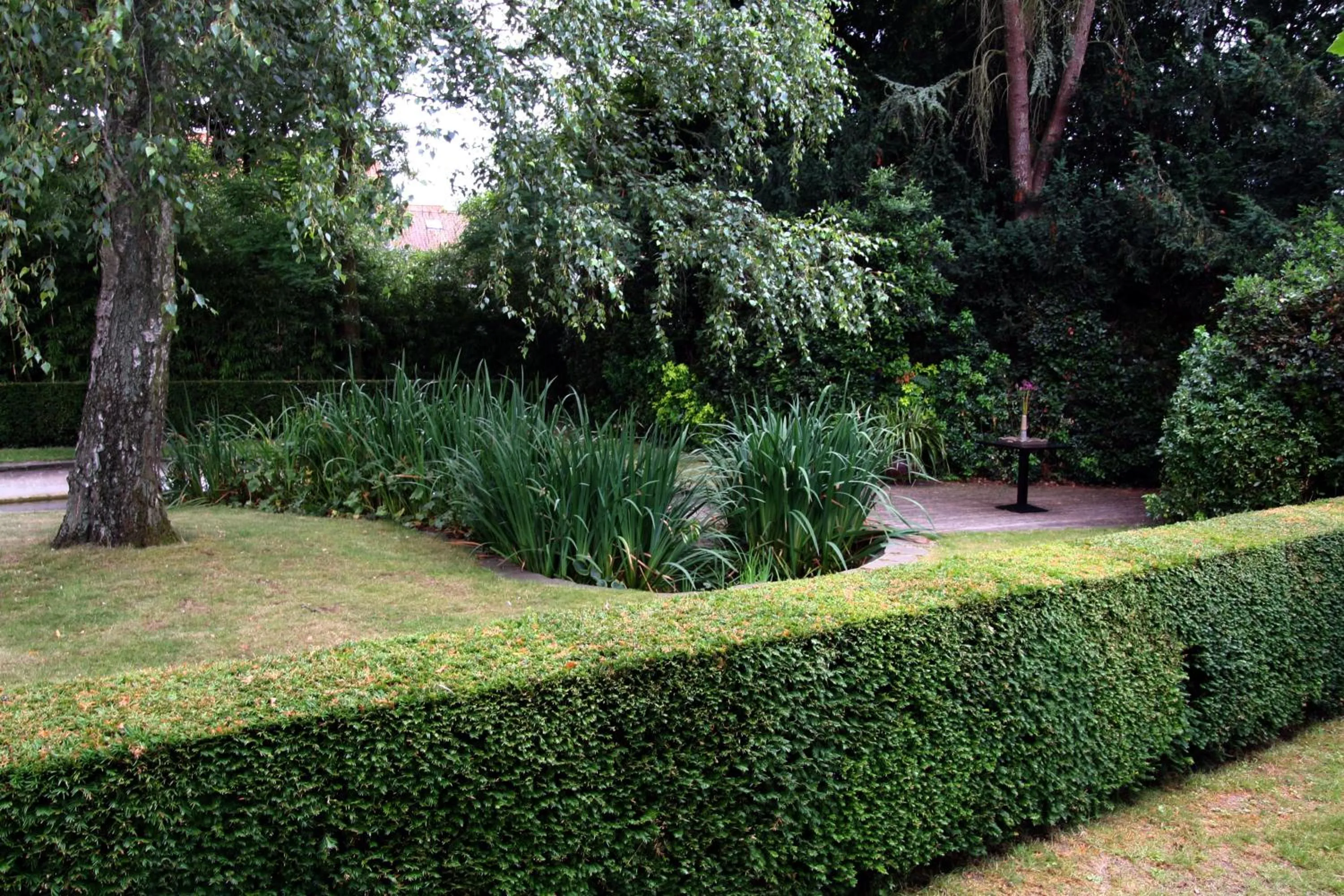 Garden in Villa Pura Vida