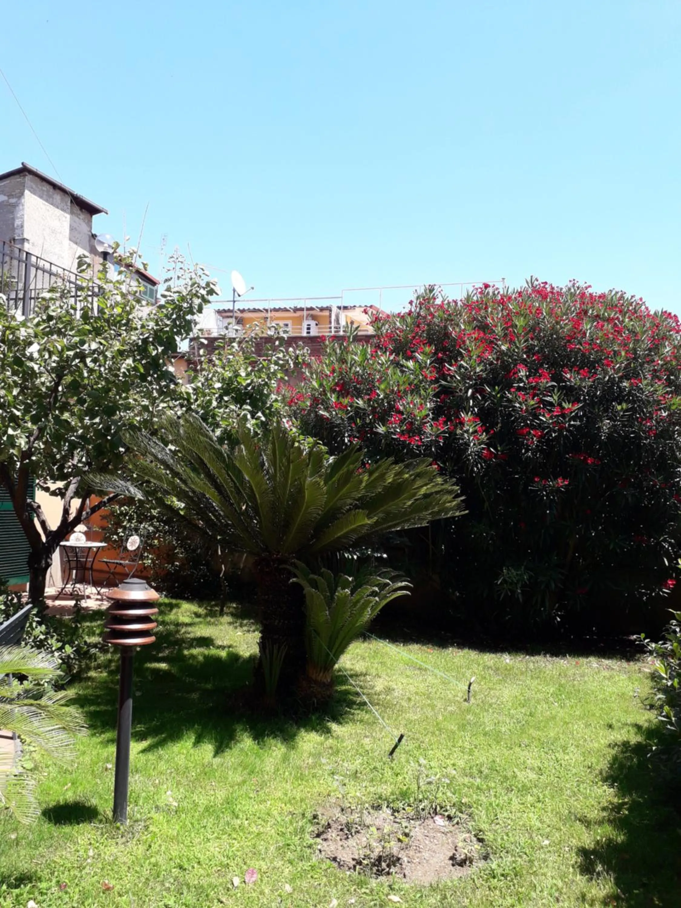 Garden in L'Oasi al Pigneto - Guest house