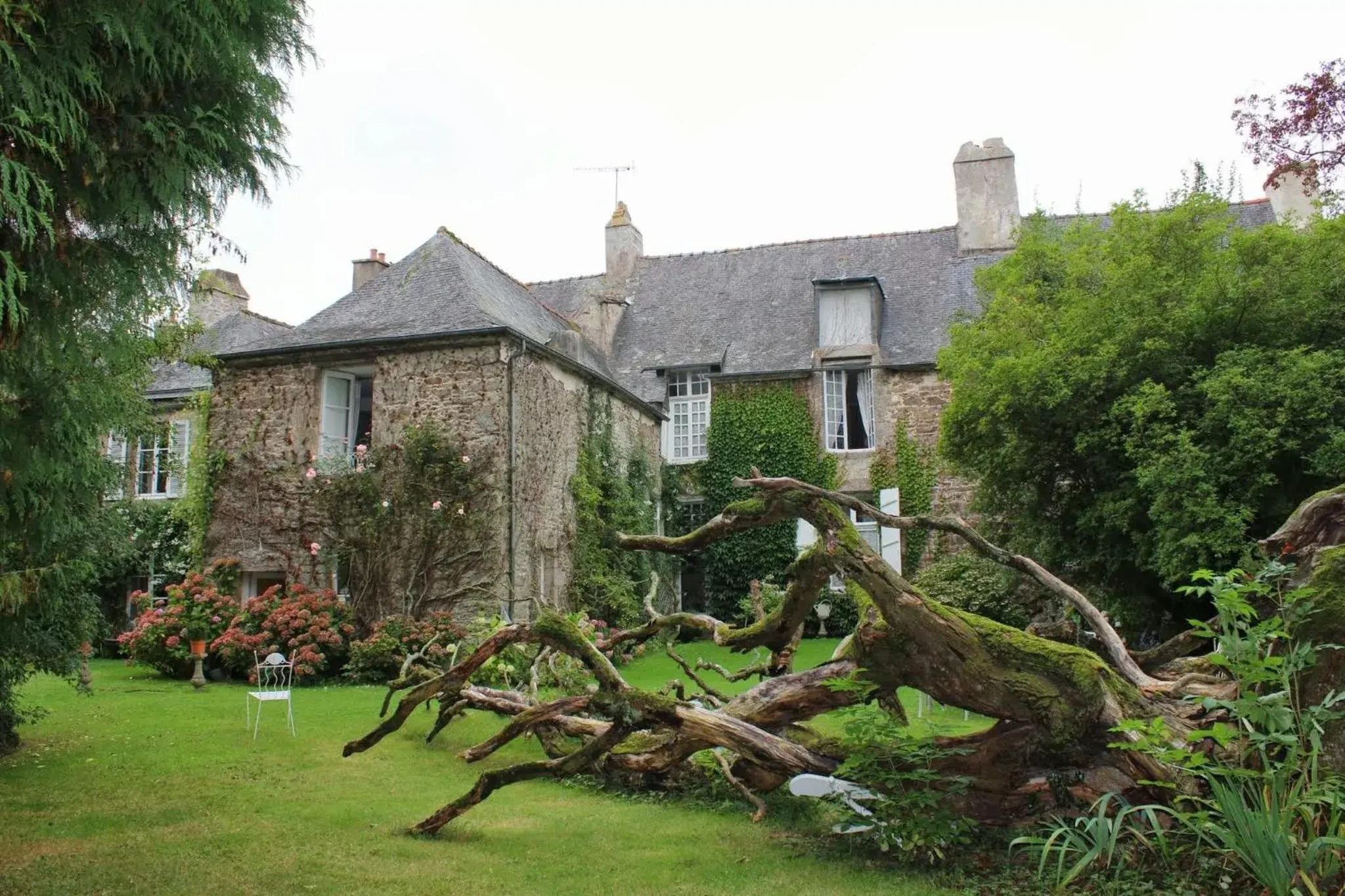 Le Clos du Prince Le Clos du Prince