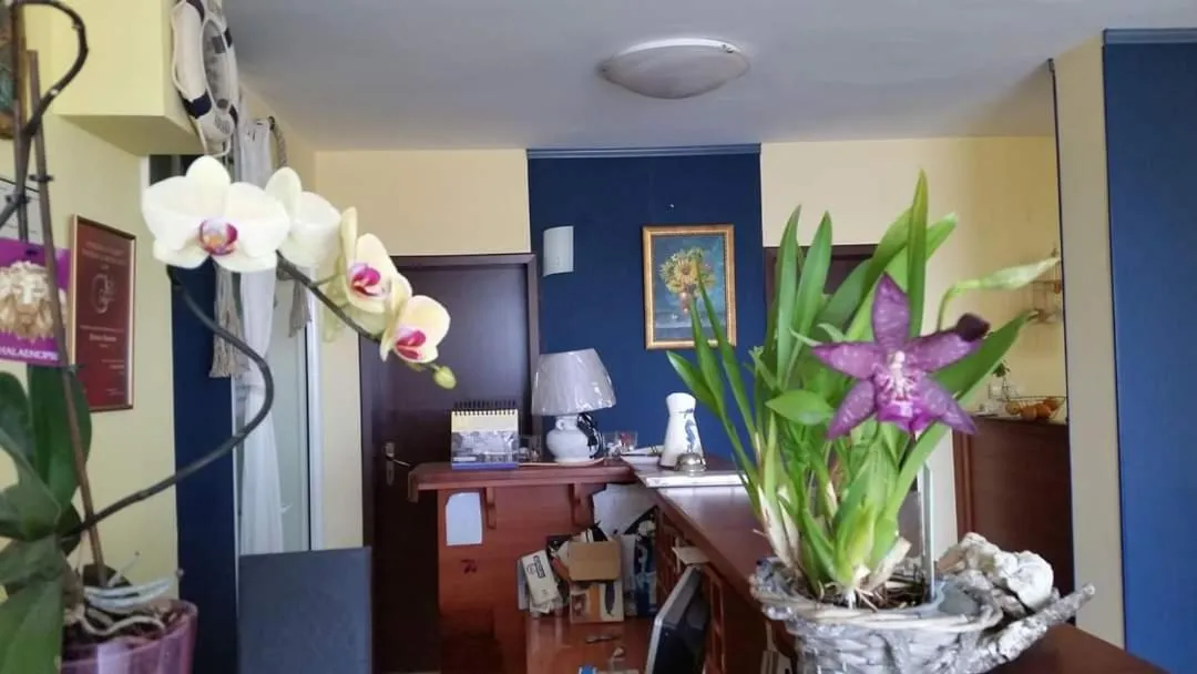 Lobby or reception in Hotel Lozite