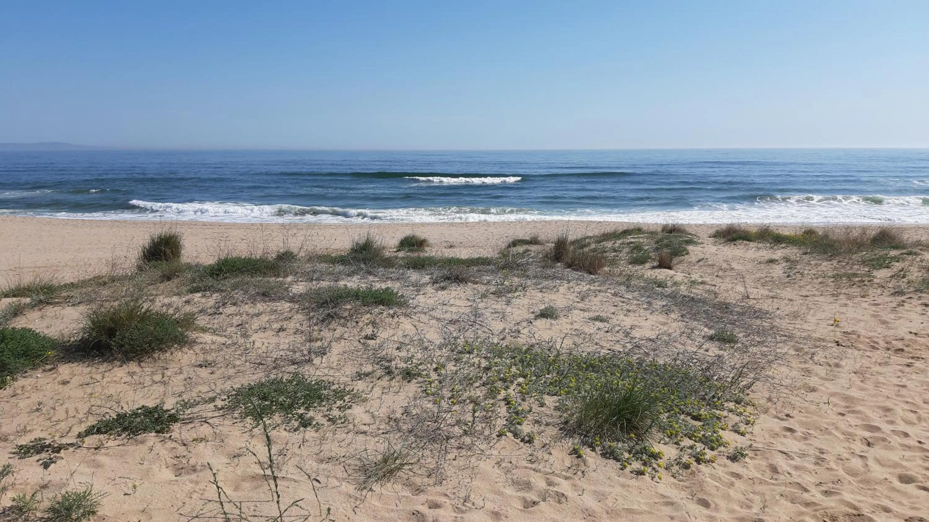 Beach in Hotel Lozite