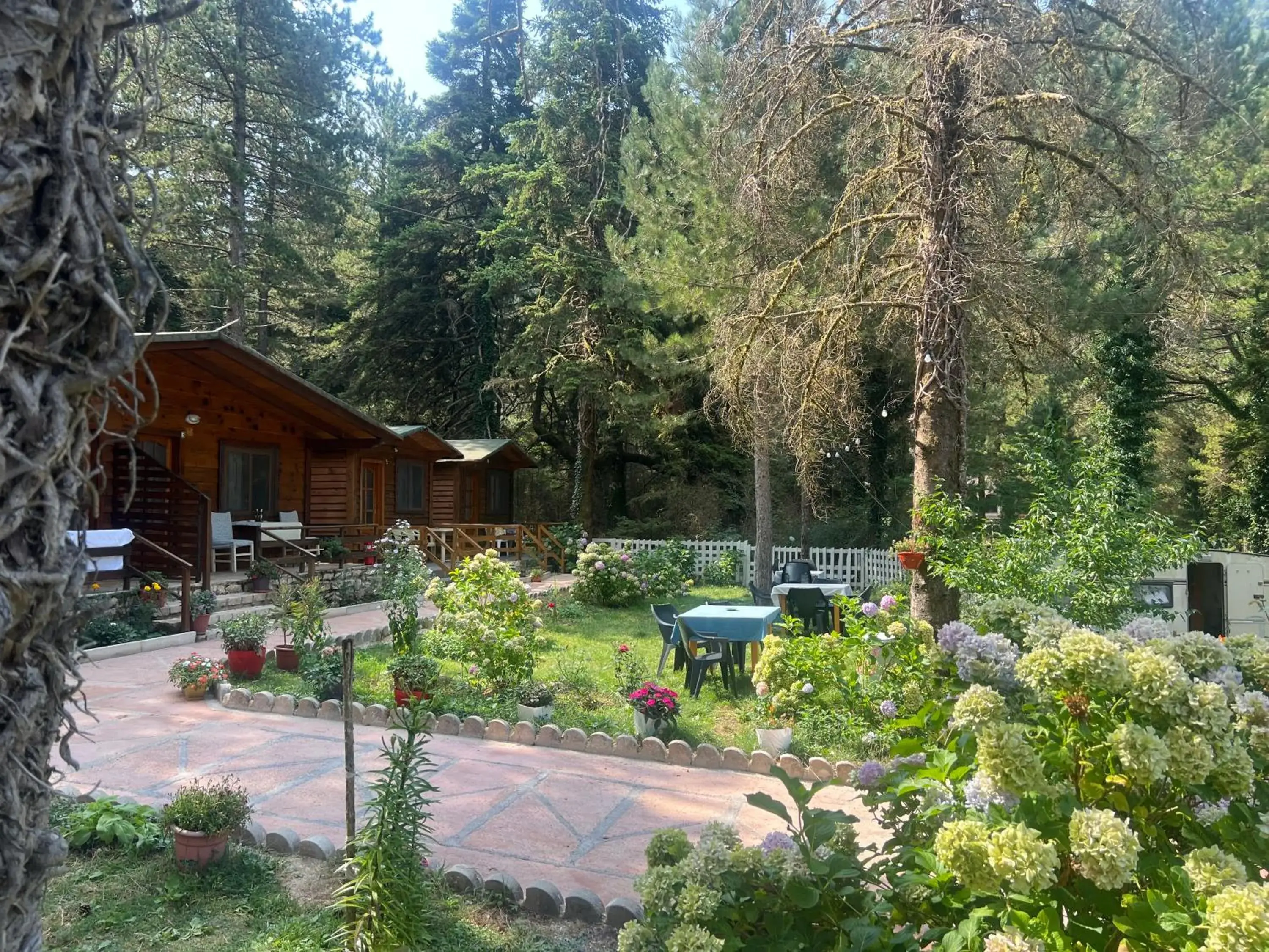 Bujtina Uji I Panjes, LLOGARA Bujtina Uji I Panjes, LLOGARA