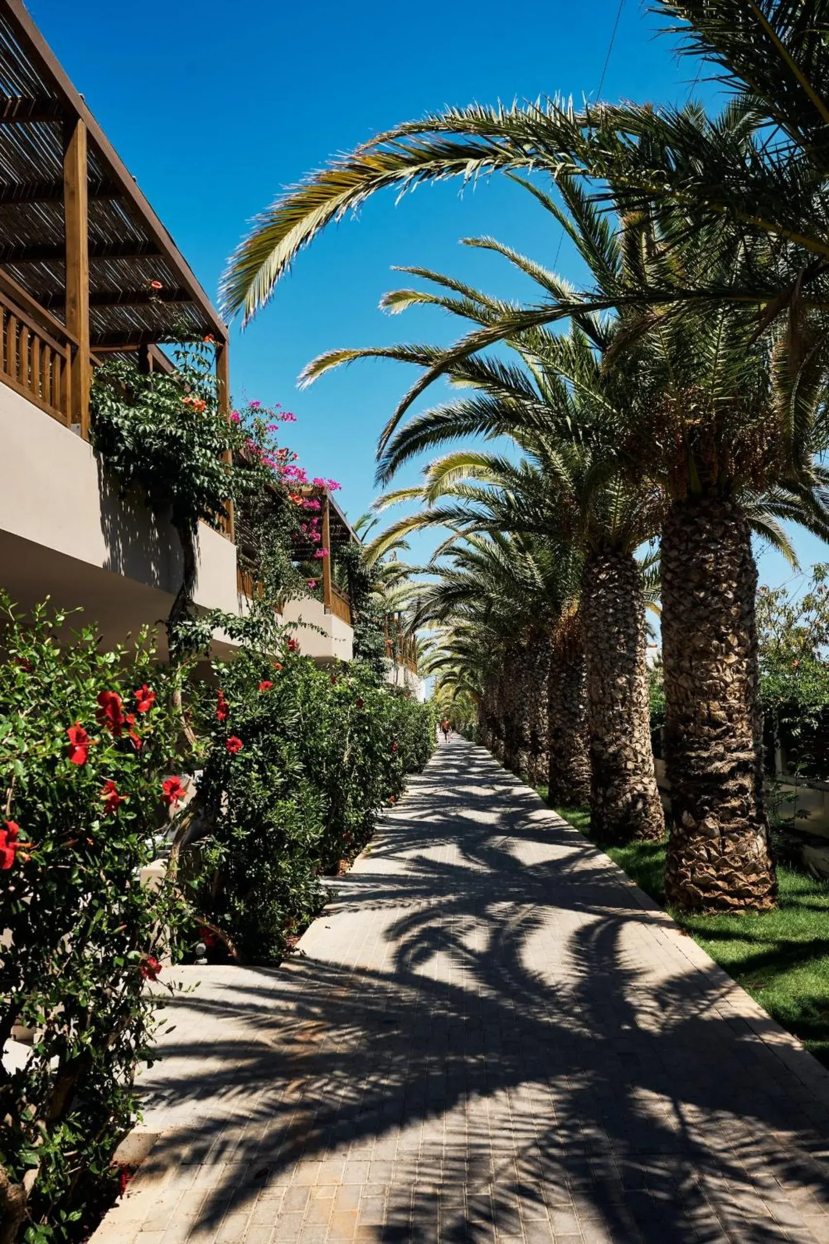 Garden view in Stella Village Seaside Hotel Garden view in Stella Village Seaside Hotel