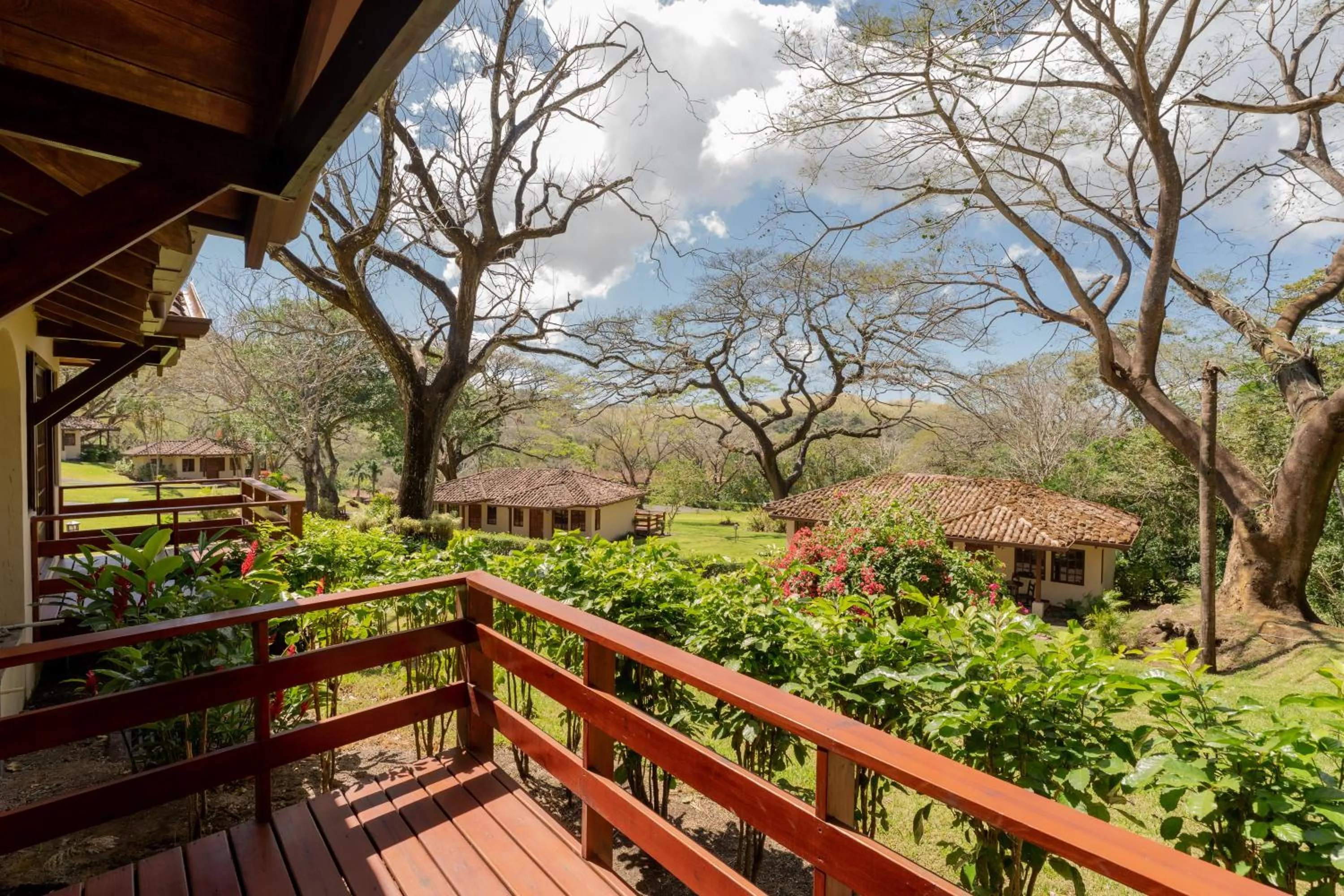 Garden view in Borinquen Thermal Resort