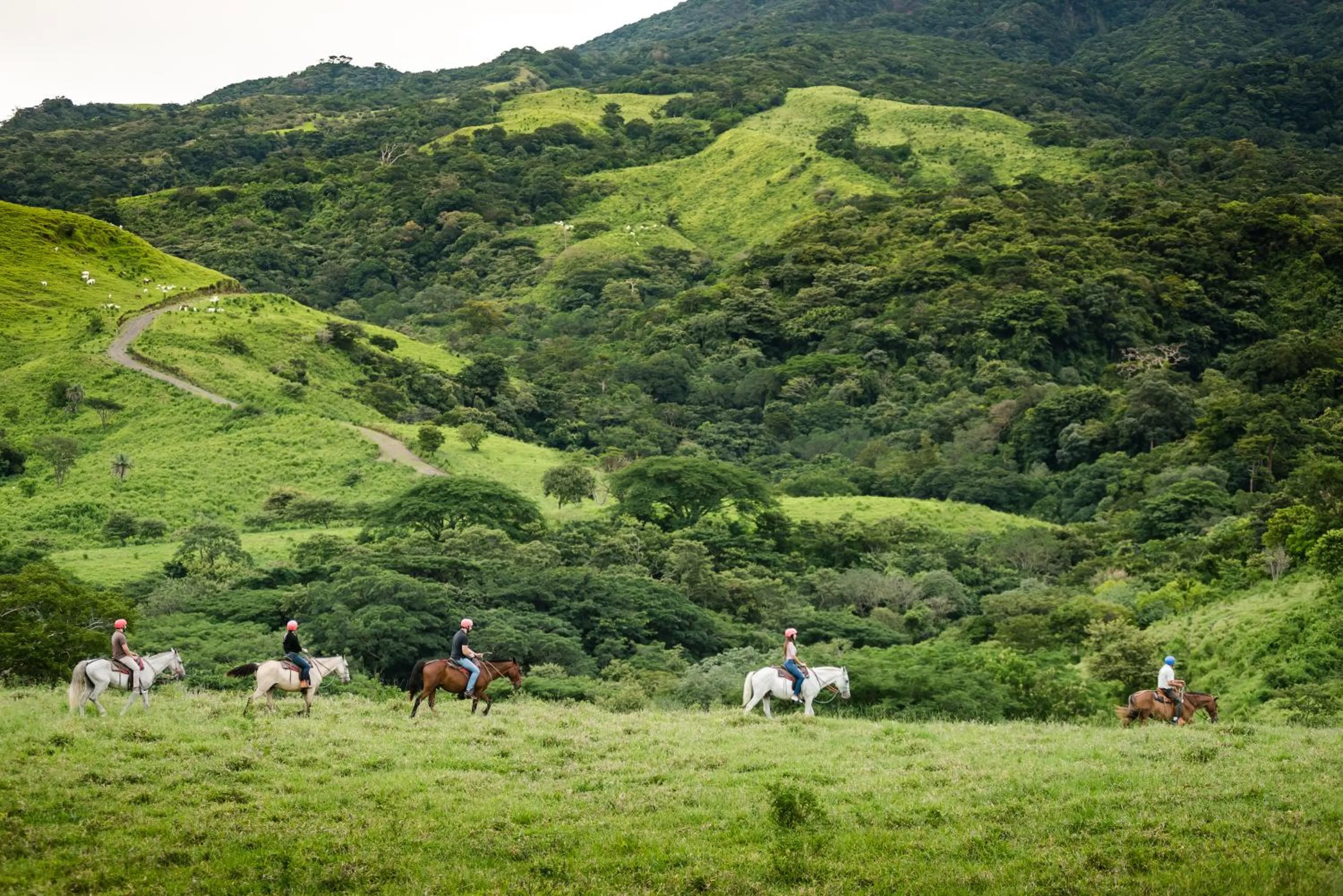 Horse-riding in Borinquen Thermal Resort