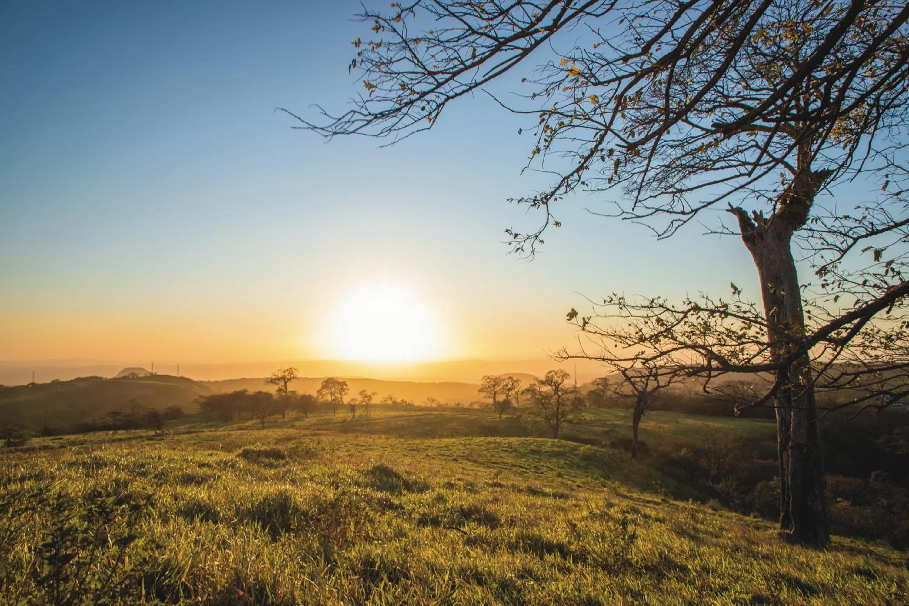 View (from property/room) in Borinquen Thermal Resort