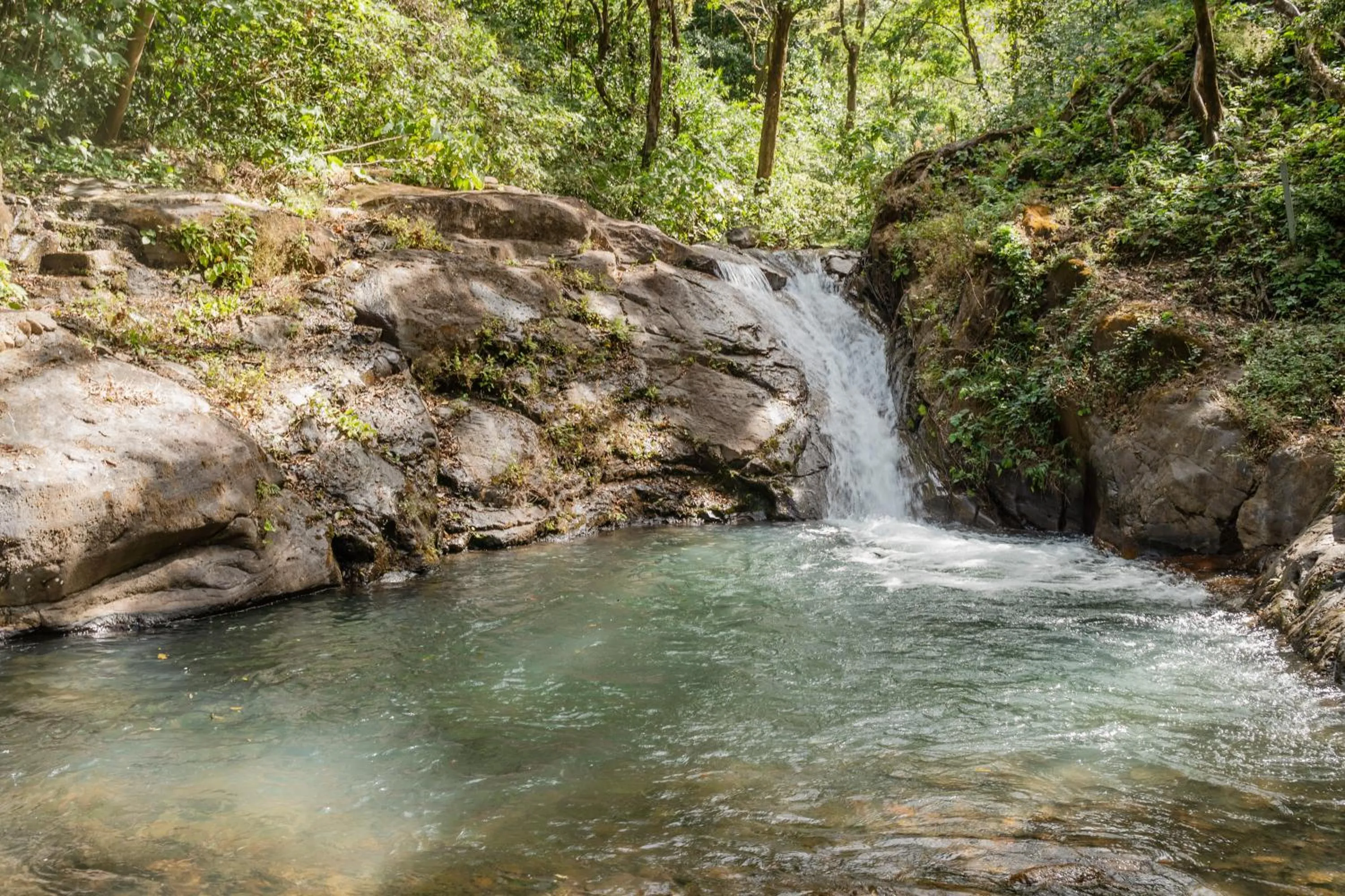 Natural landscape in Borinquen Thermal Resort