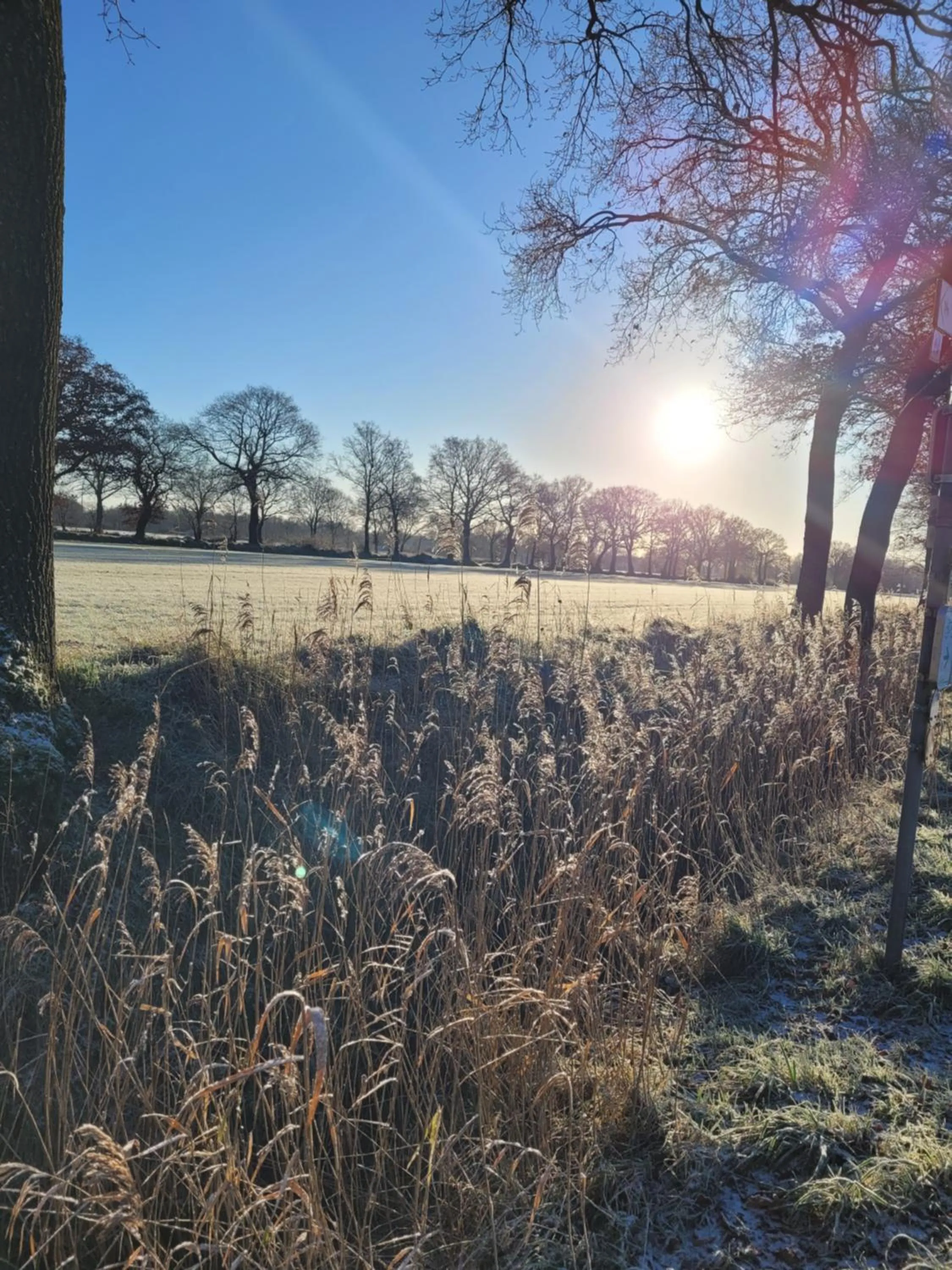 Spring in Hotel Garni Kastanjehoff