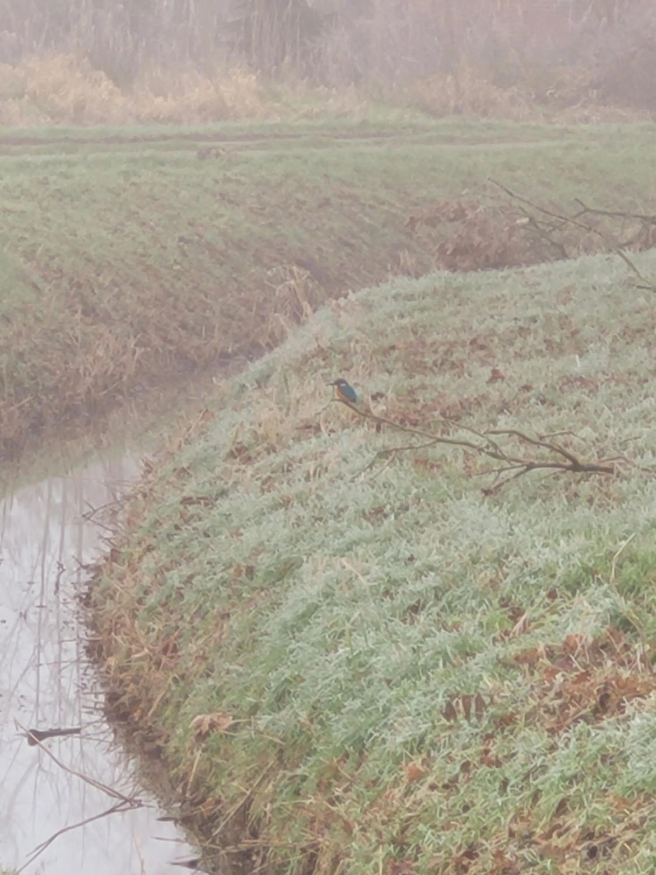 Day in Hotel Garni Kastanjehoff