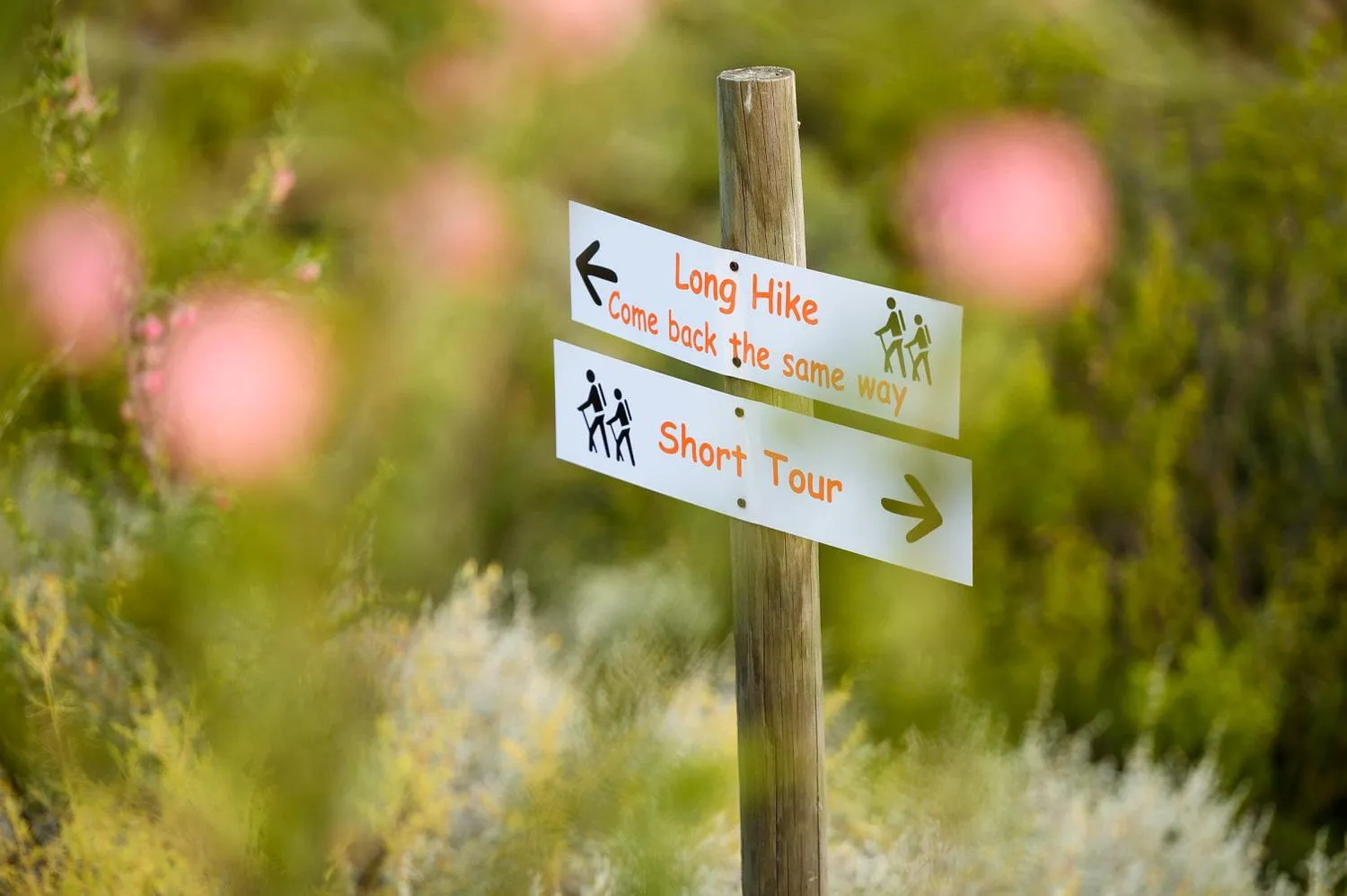 Hiking in Le Petit Karoo