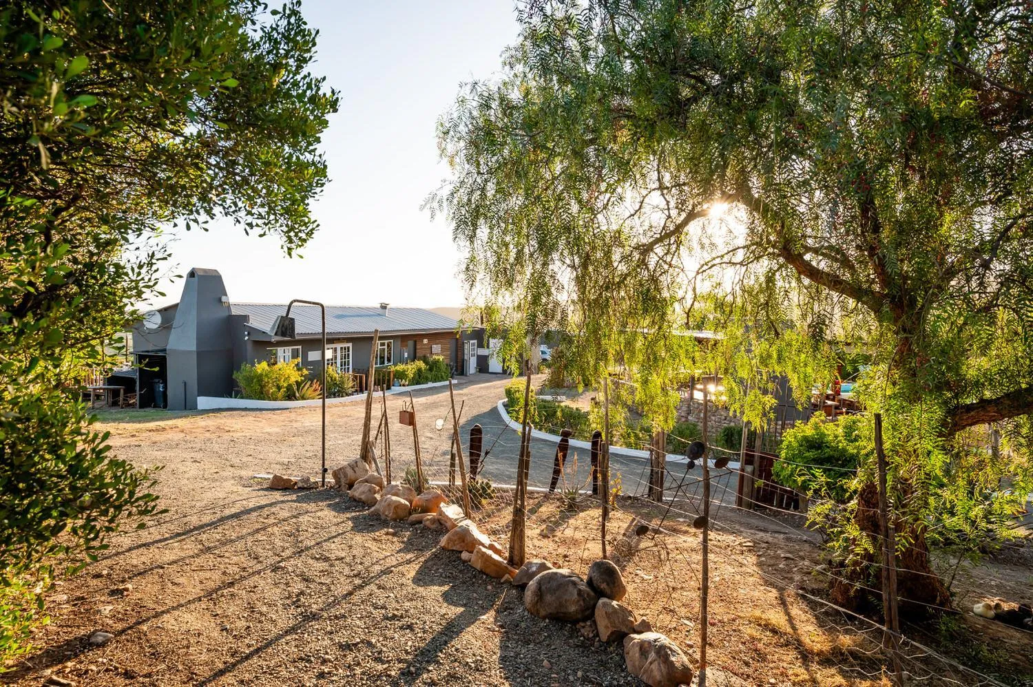 Garden in Le Petit Karoo