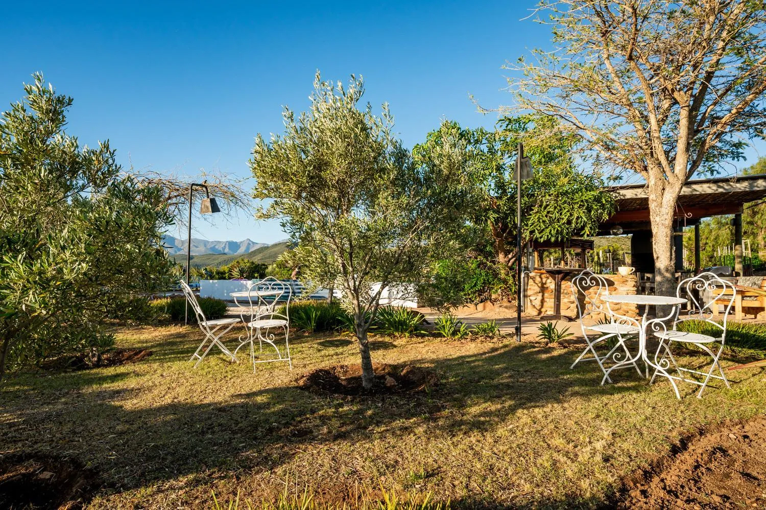 Garden in Le Petit Karoo