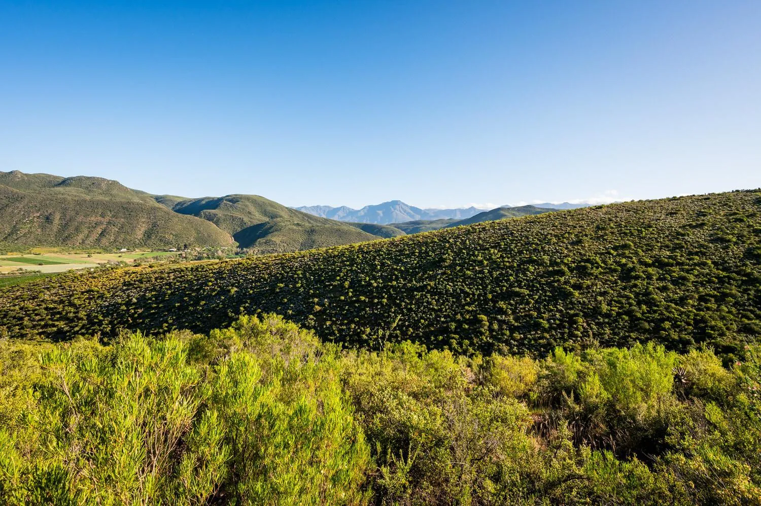 View (from property/room) in Le Petit Karoo