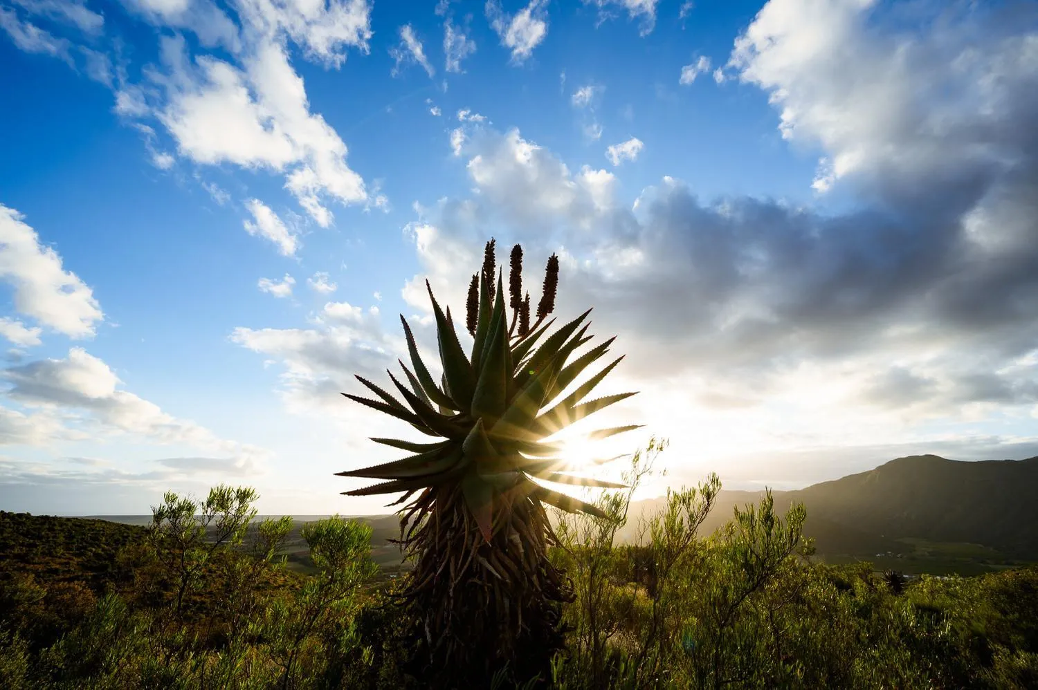 View (from property/room) in Le Petit Karoo