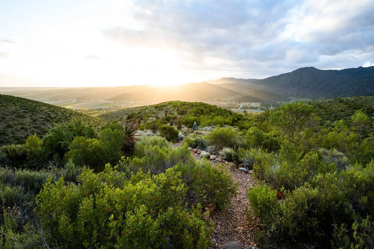 View (from property/room) in Le Petit Karoo